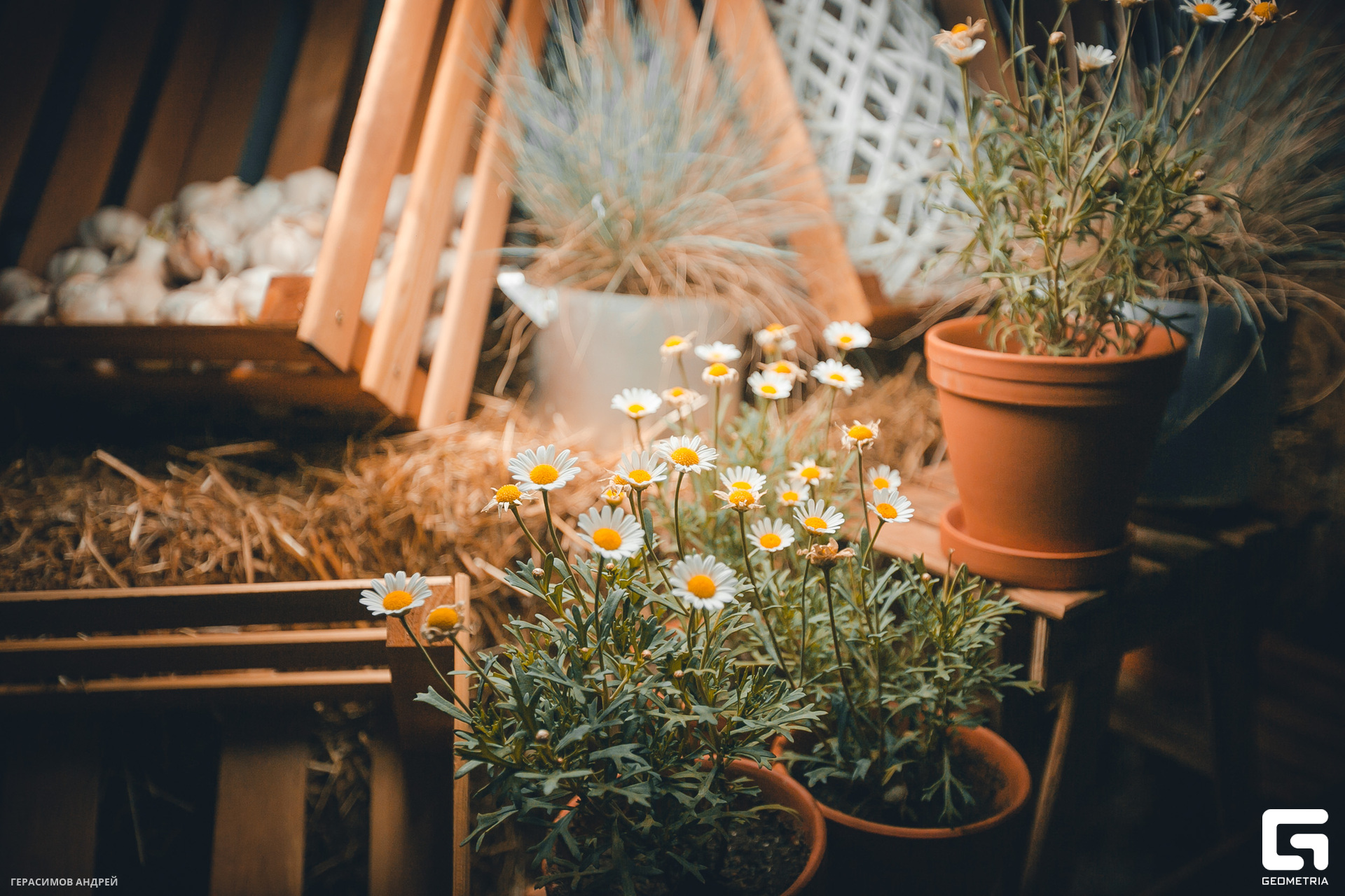 004Grand Karat 23.06.jpg