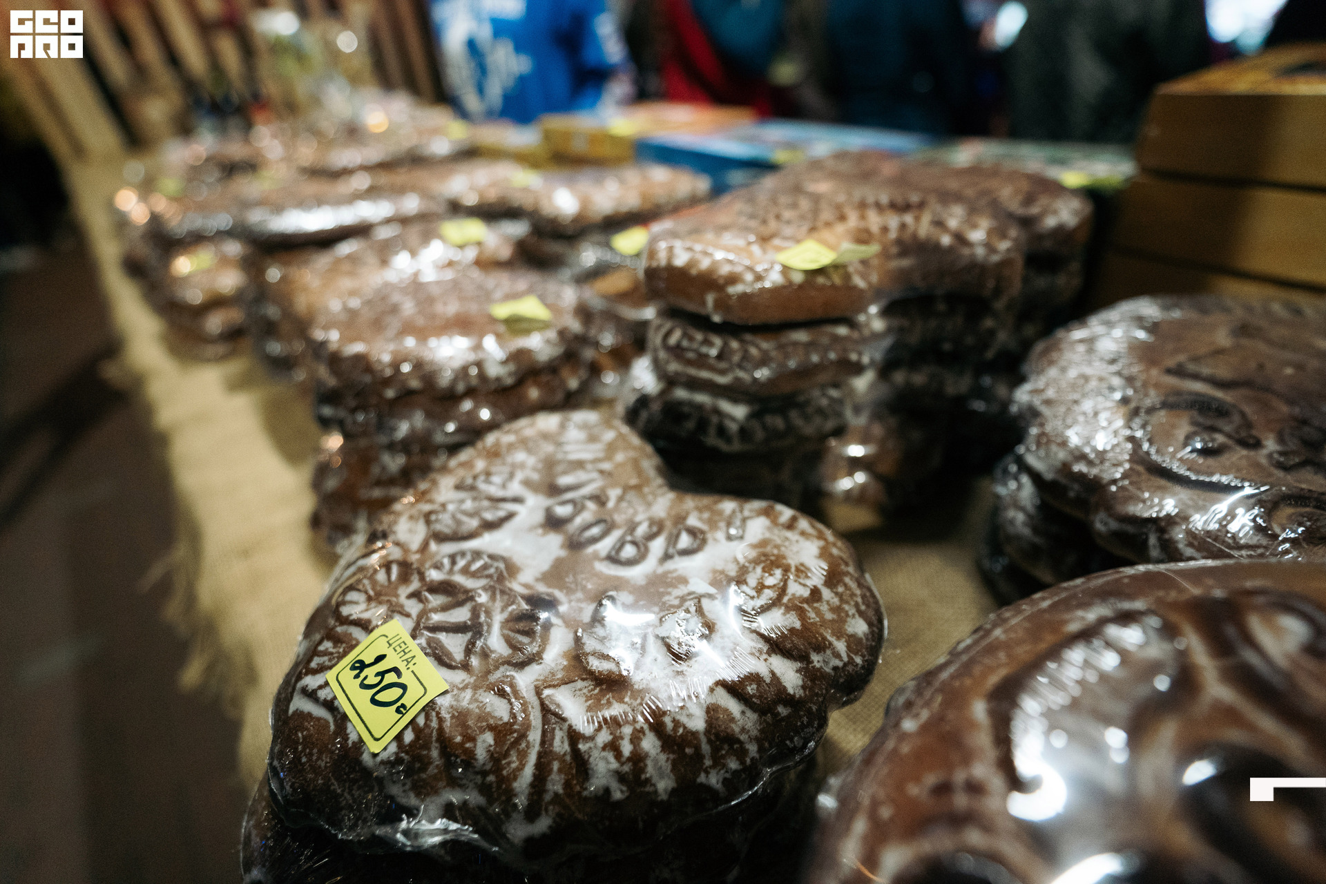  0158 20210828_ALV6855 копия.jpg