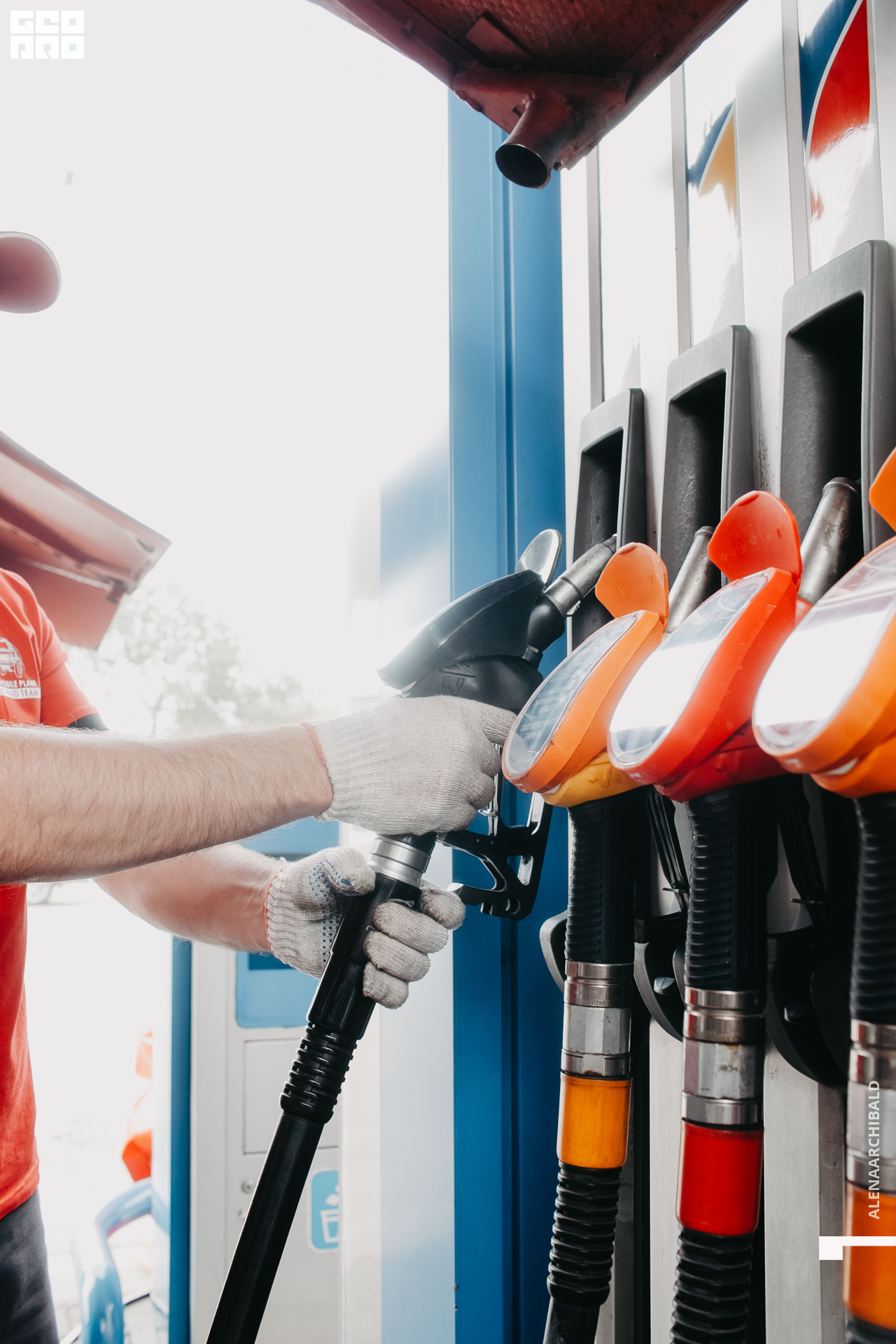 2021-06-26 16-07-20_alenaarchibald.JPG