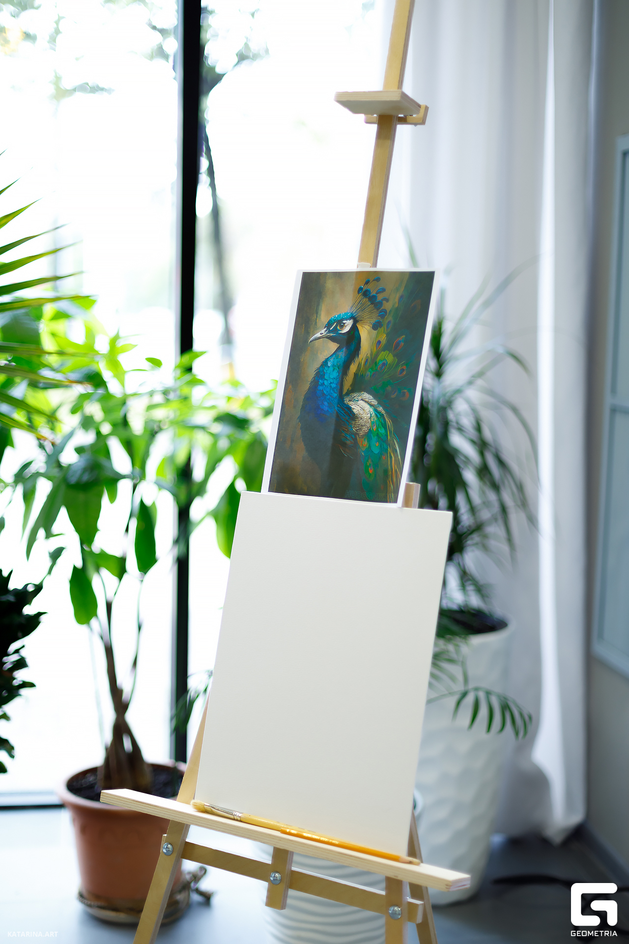 Bisquit_Hall_17.09.23 (2 of 662).JPG