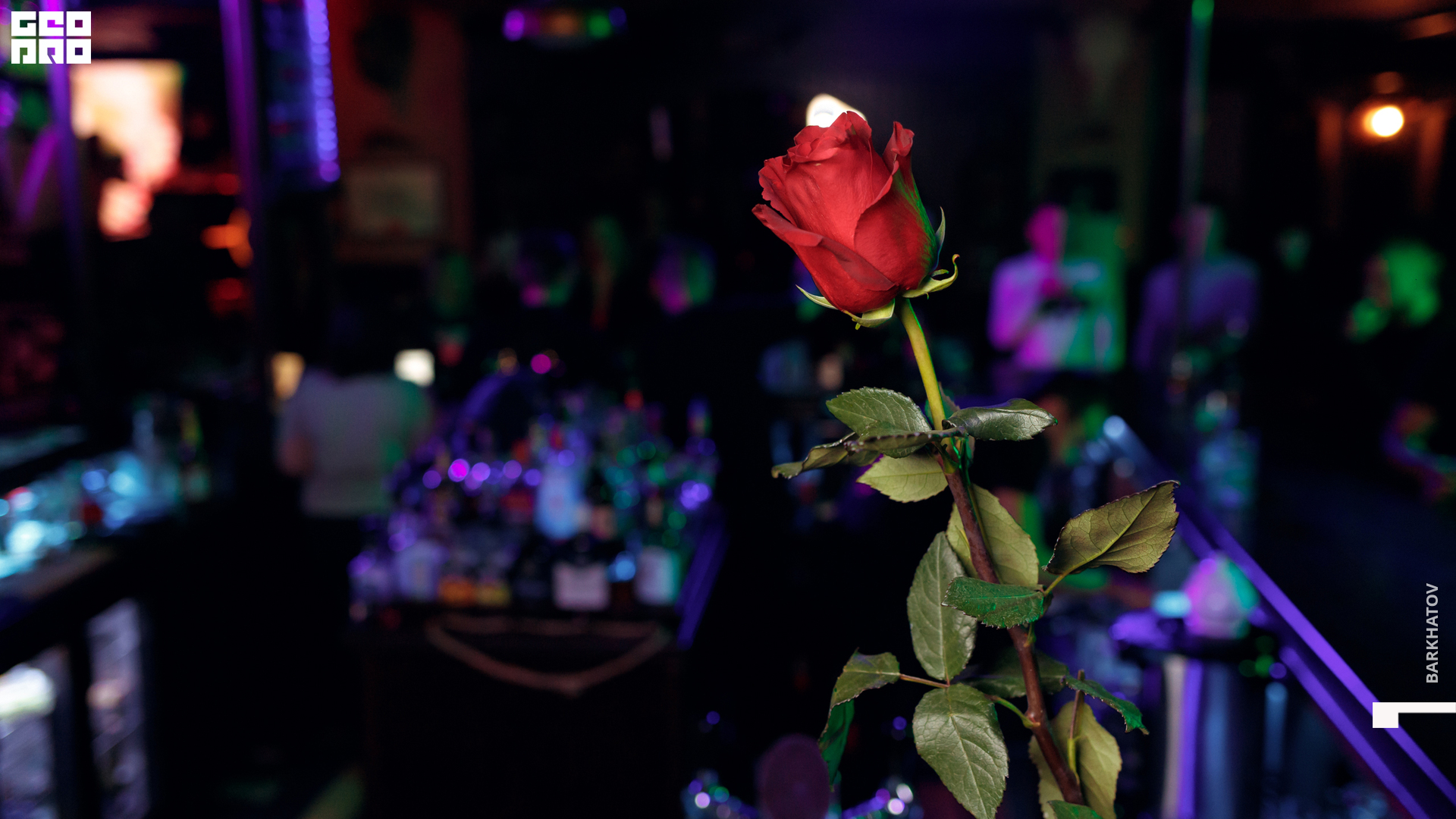 037 10.10.2021 @mibiyl (0222).jpg