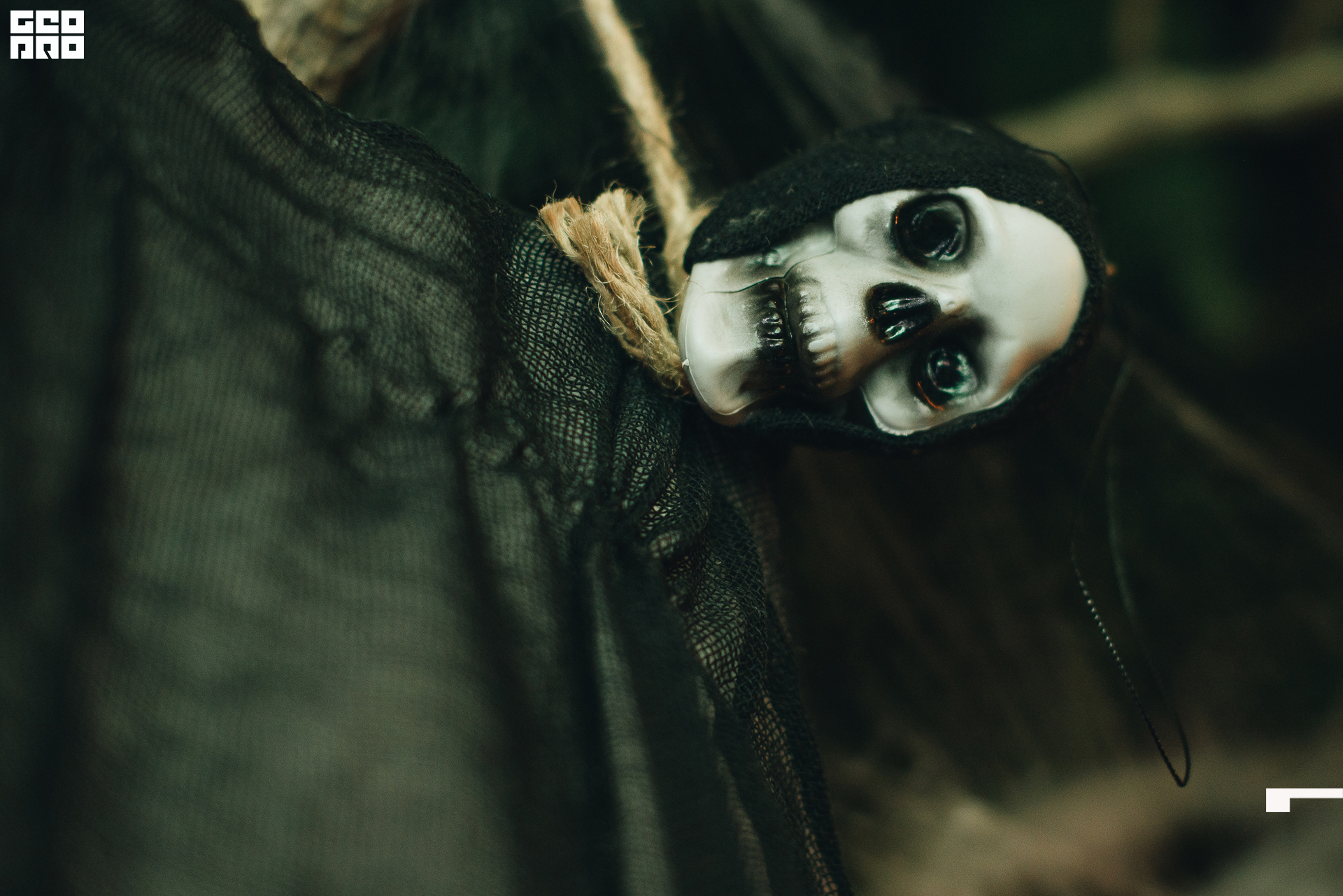 013 2022-10-31-203219_arseniyermakov.jpg