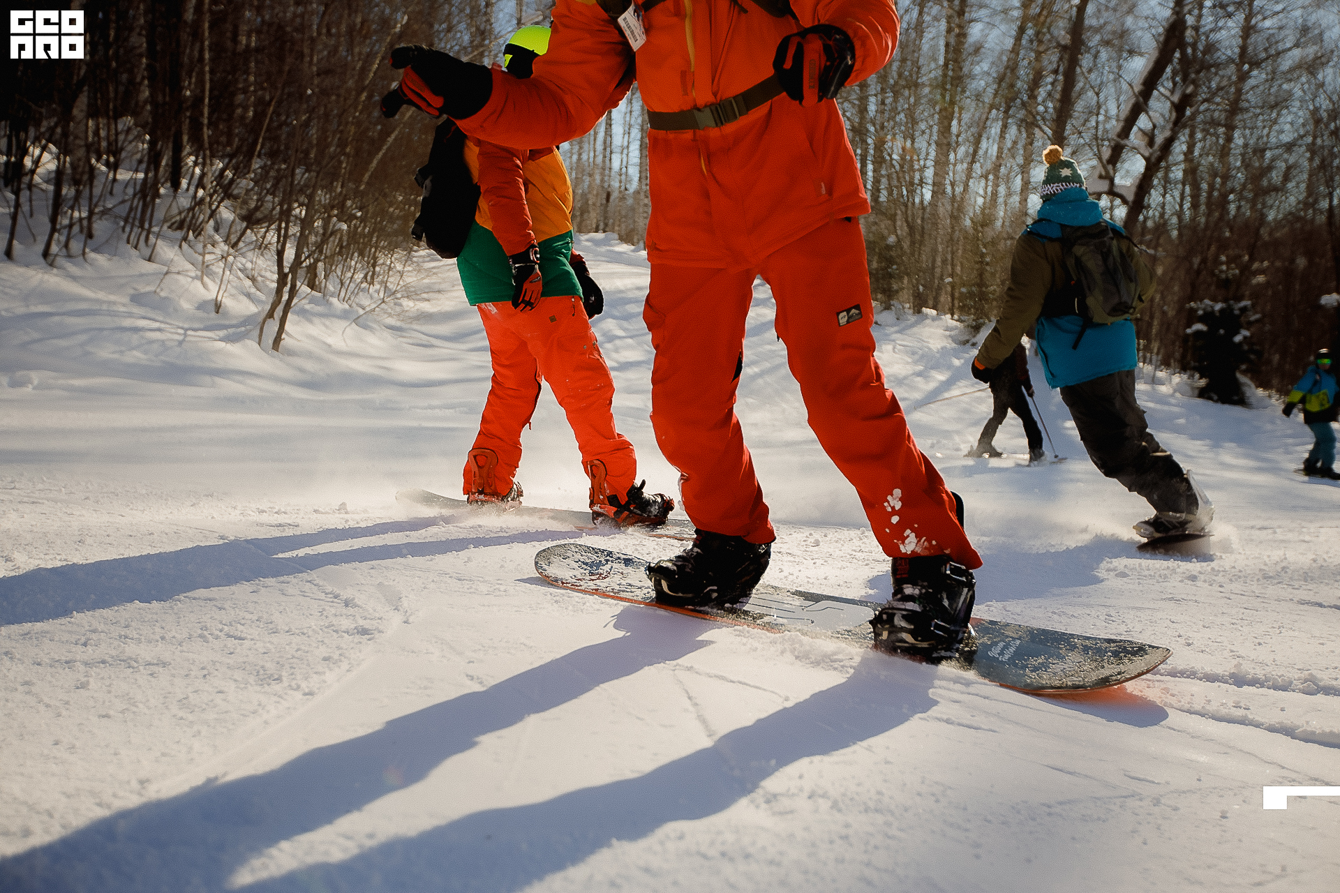 177_22-02-19 ISAEVA.jpg