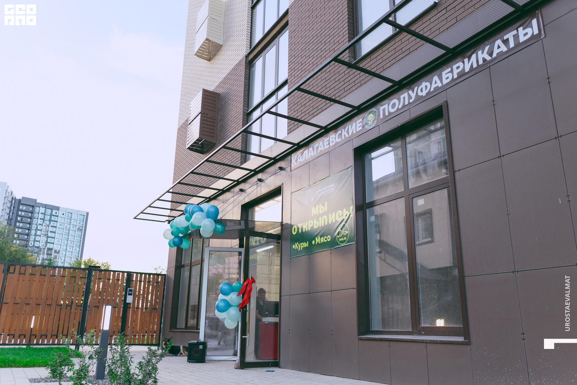 без имени-1.jpg