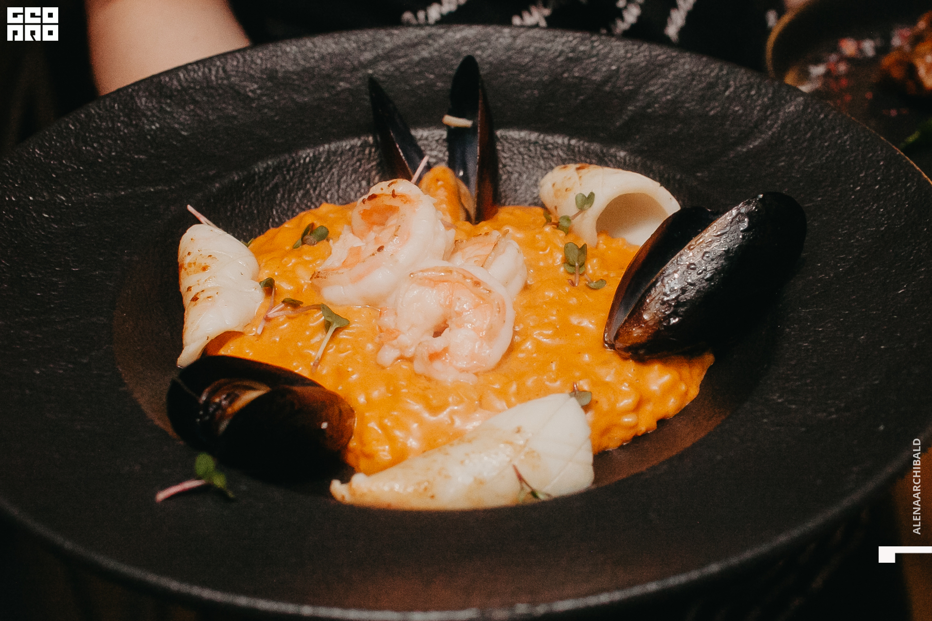 2022-11-18 20-00-27_alenaarchibald097.JPG