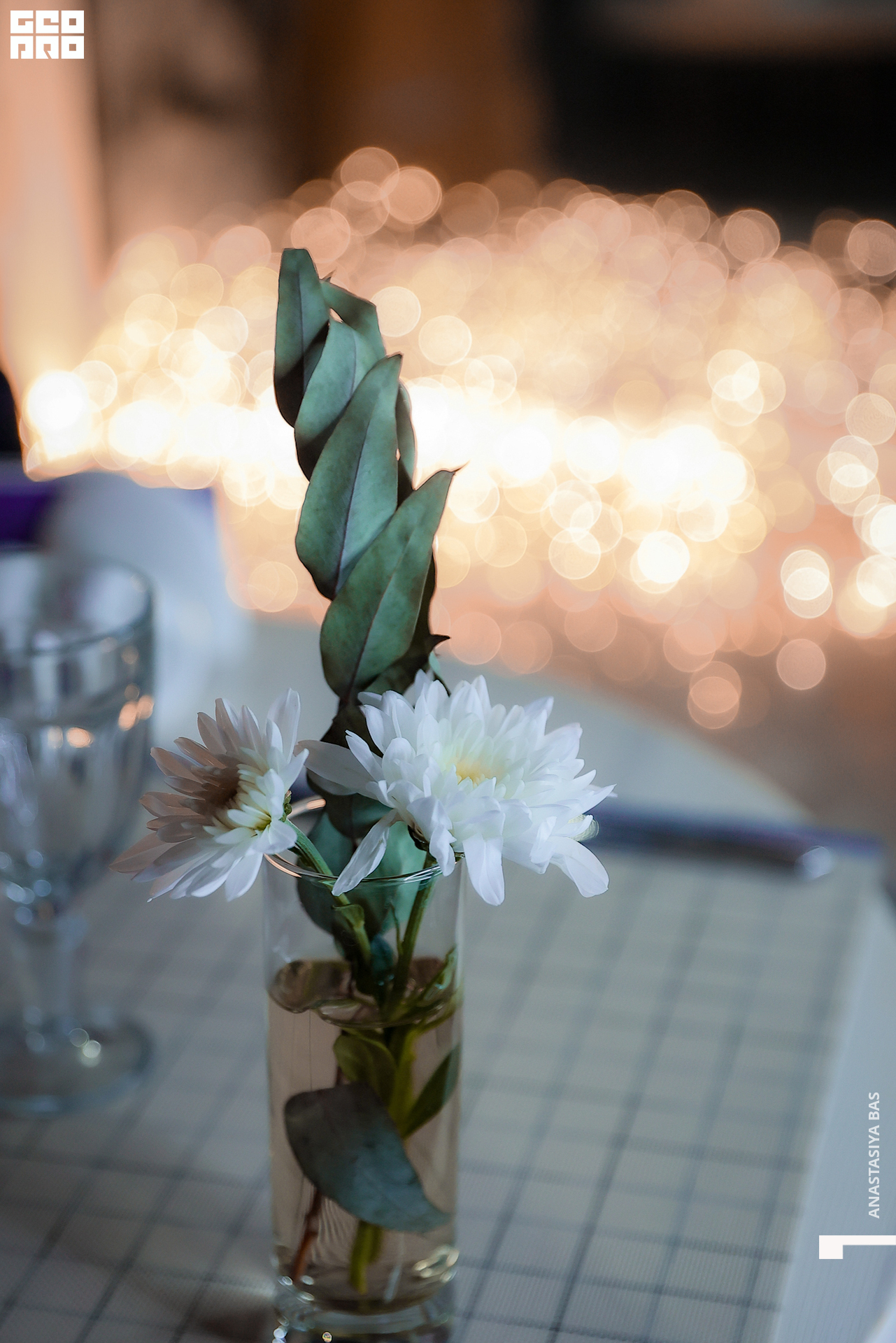 13.11.21. La Saison. Фотограф-ANASTASIYA BAS-595.jpg