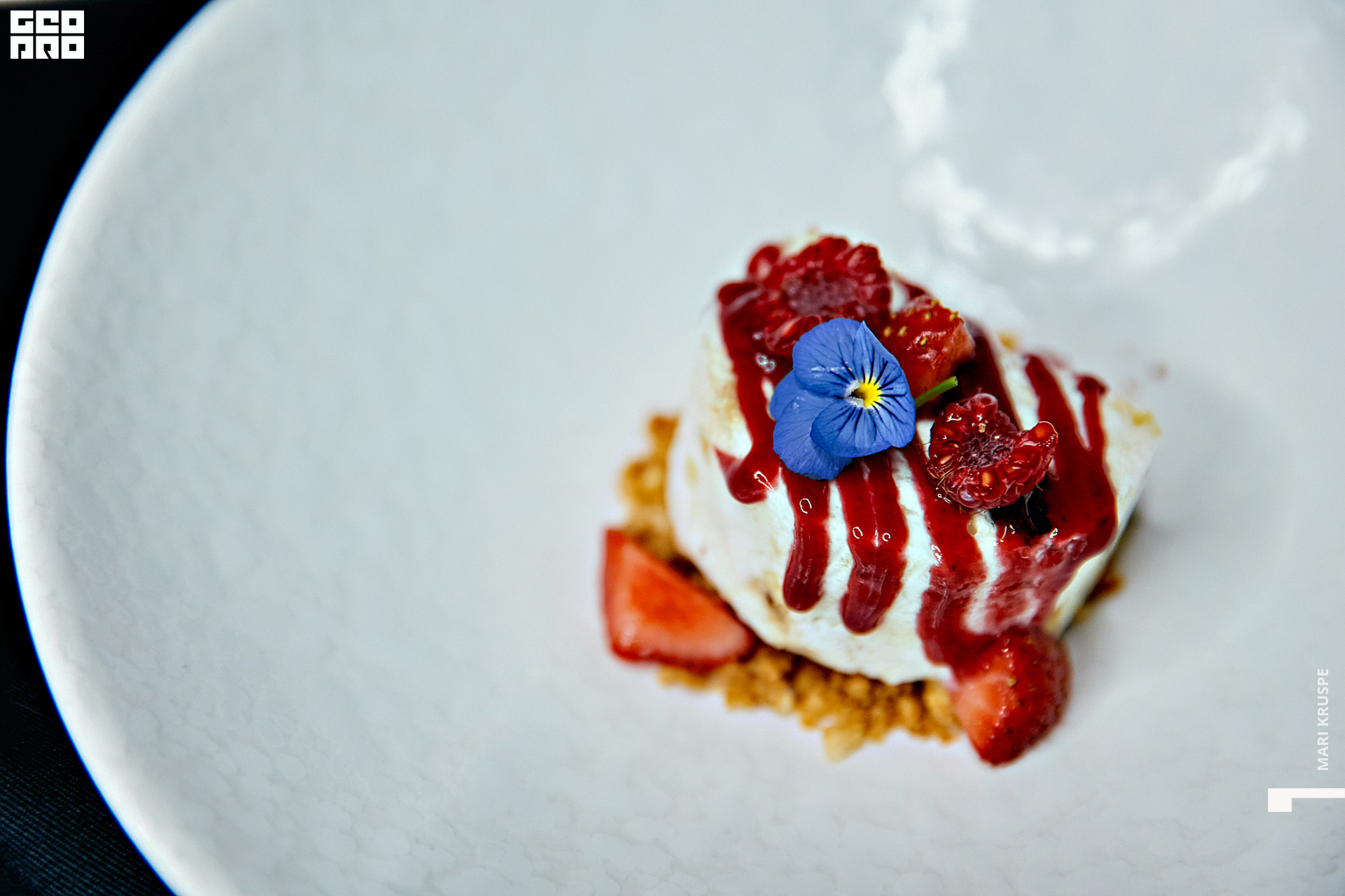 _ARI1386 копия.jpg