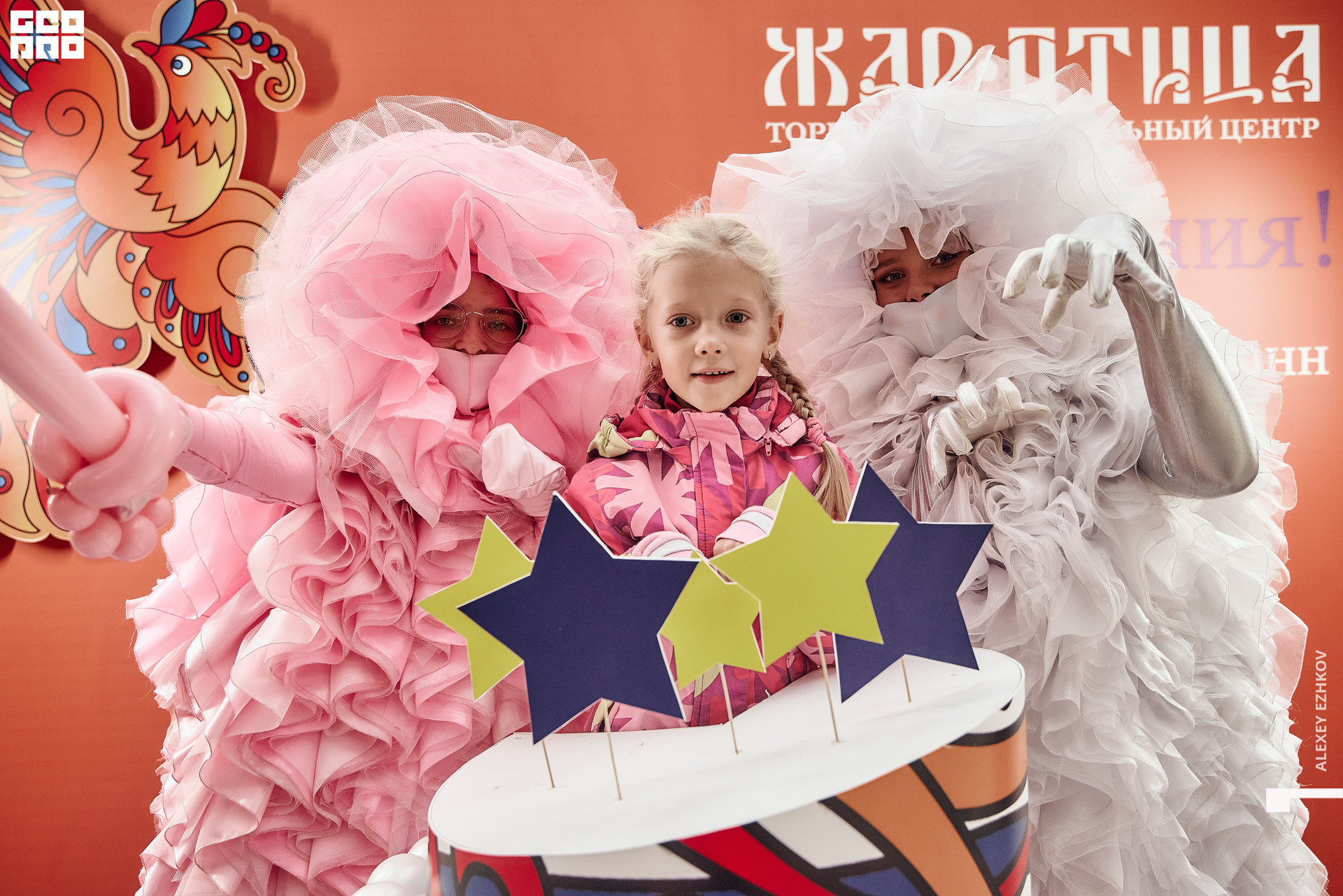 Жар_птица 173.jpg