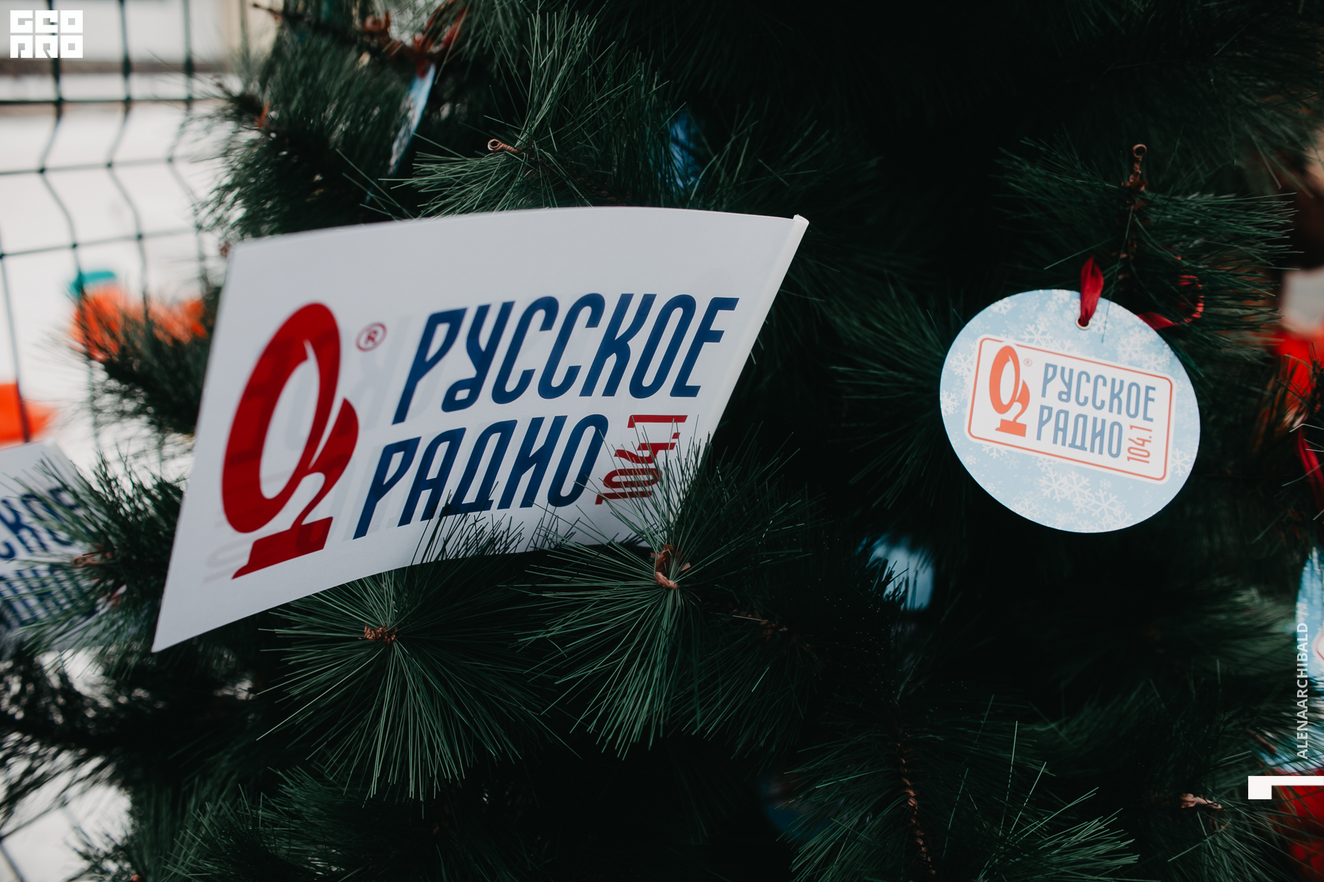 2021-11-27 14-00-42_alenaarchibald027.JPG