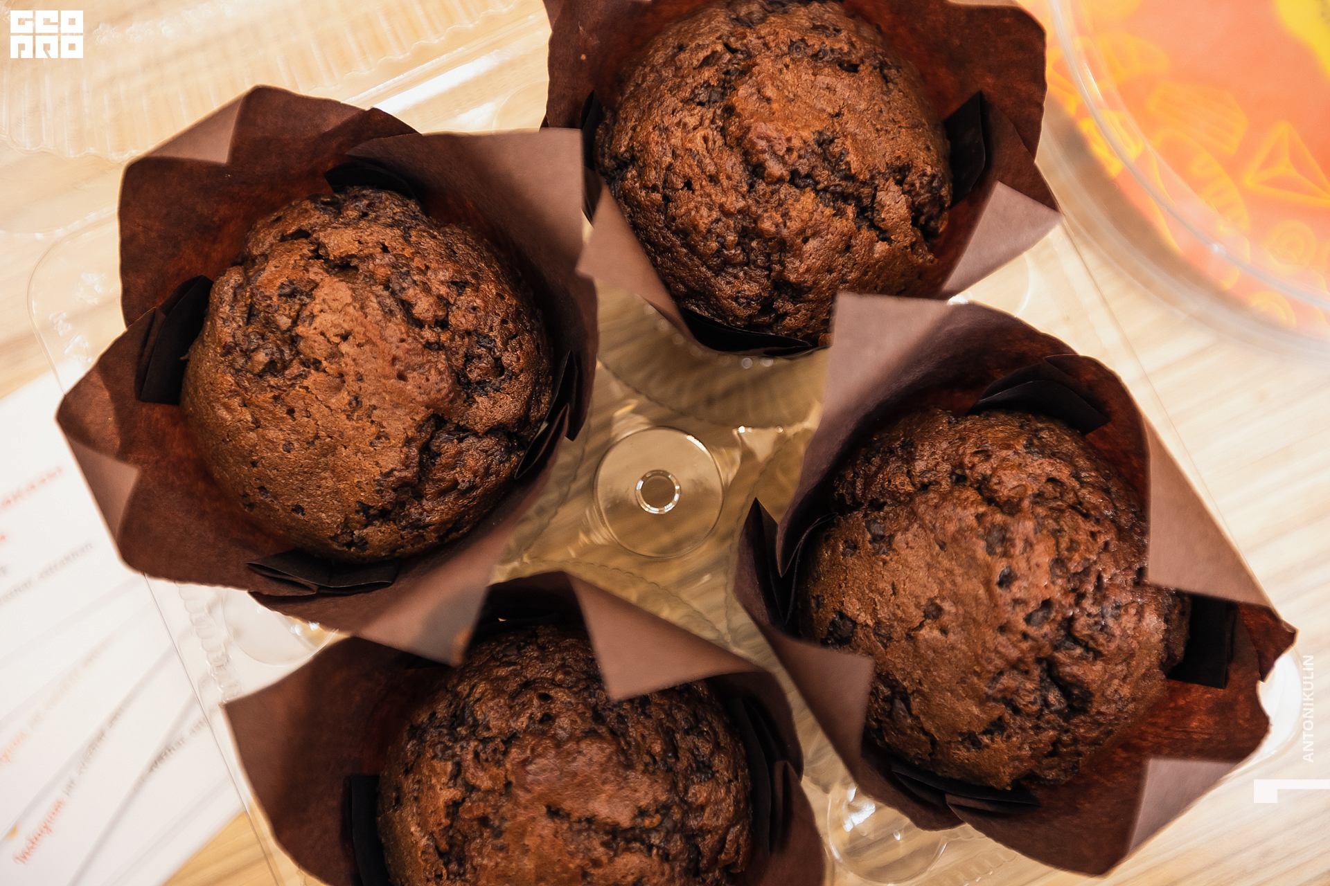 untitled shoot-5531.jpg