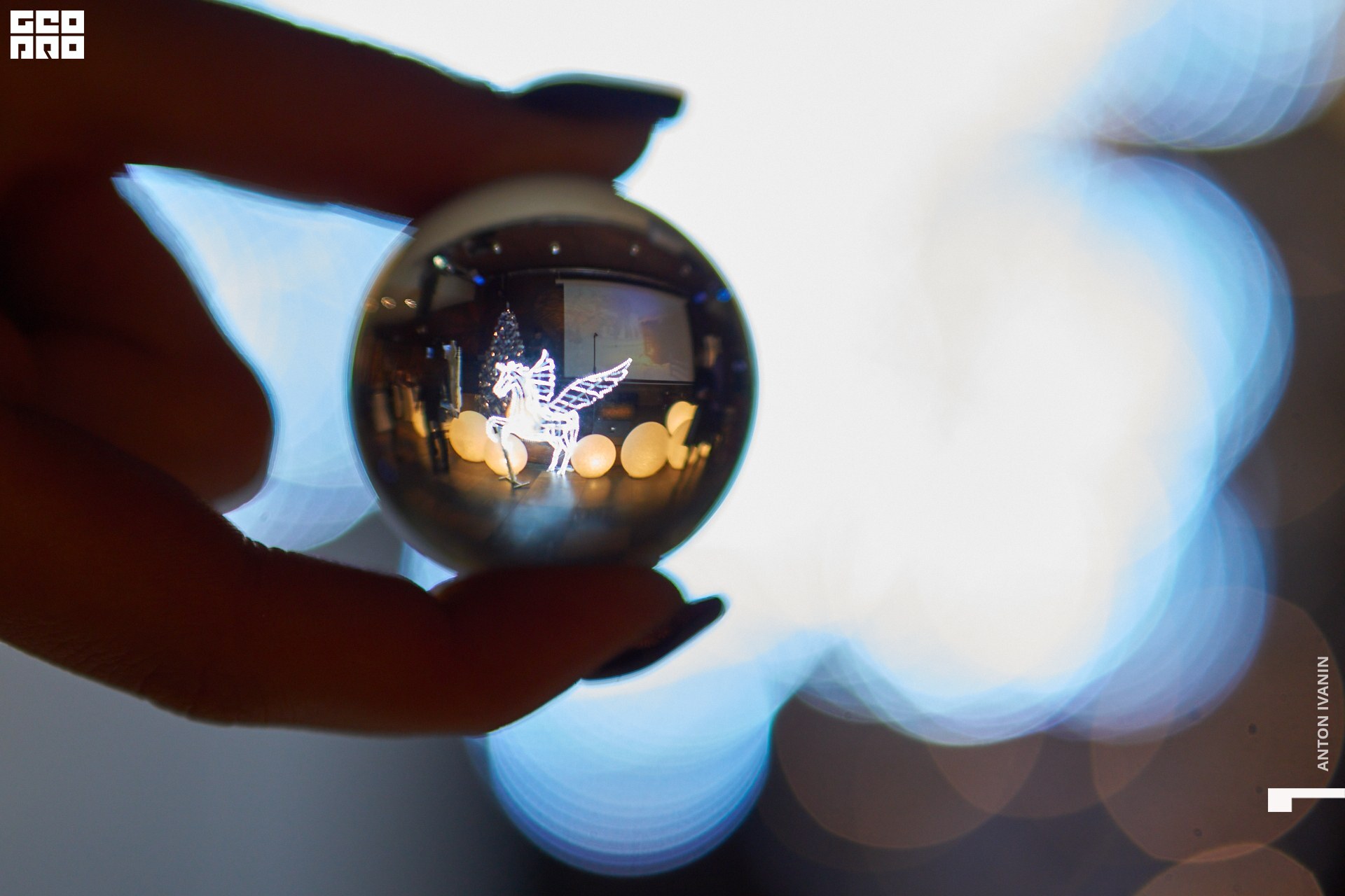 DSC06920 (Копировать).jpg