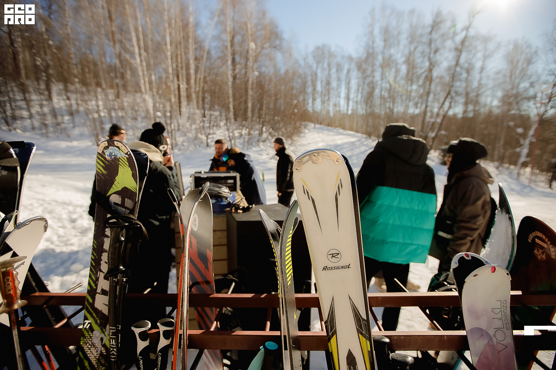 223_22-02-19 ISAEVA.jpg