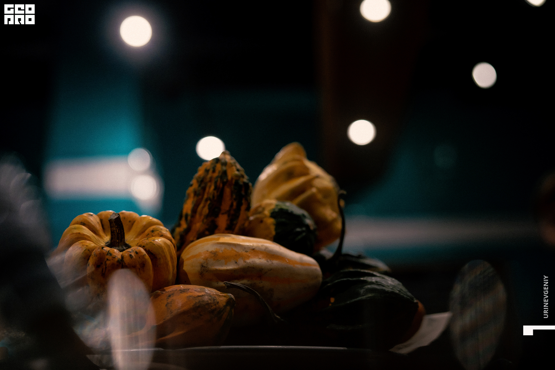 28.10.2021. Kraken (7).jpg