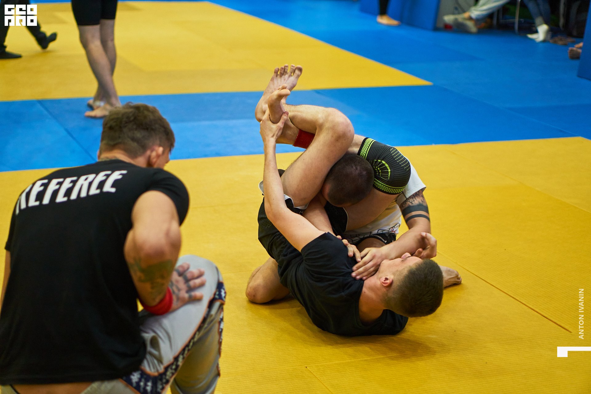 DSC09760 (Копировать).jpg