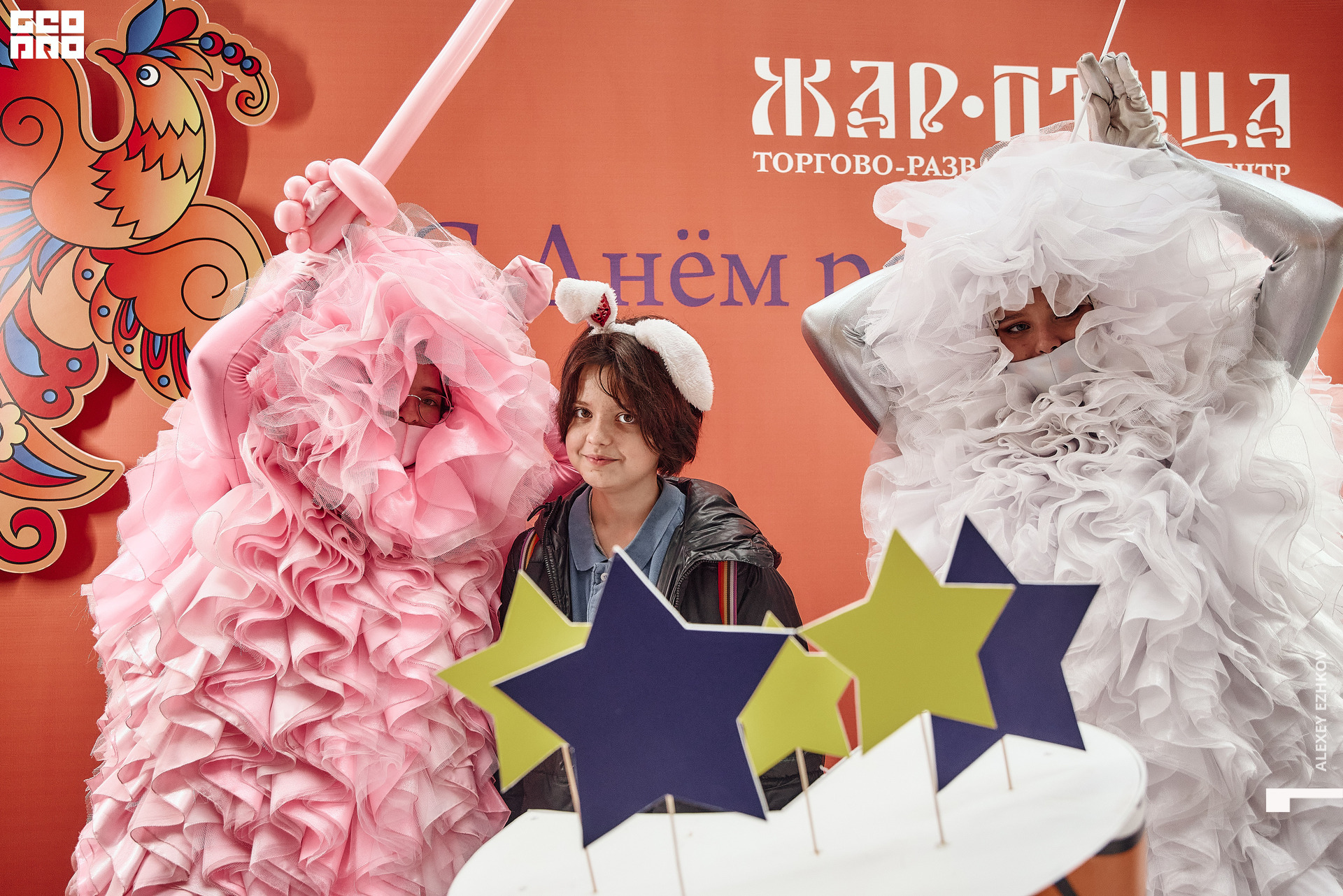 Жар_птица 160.jpg