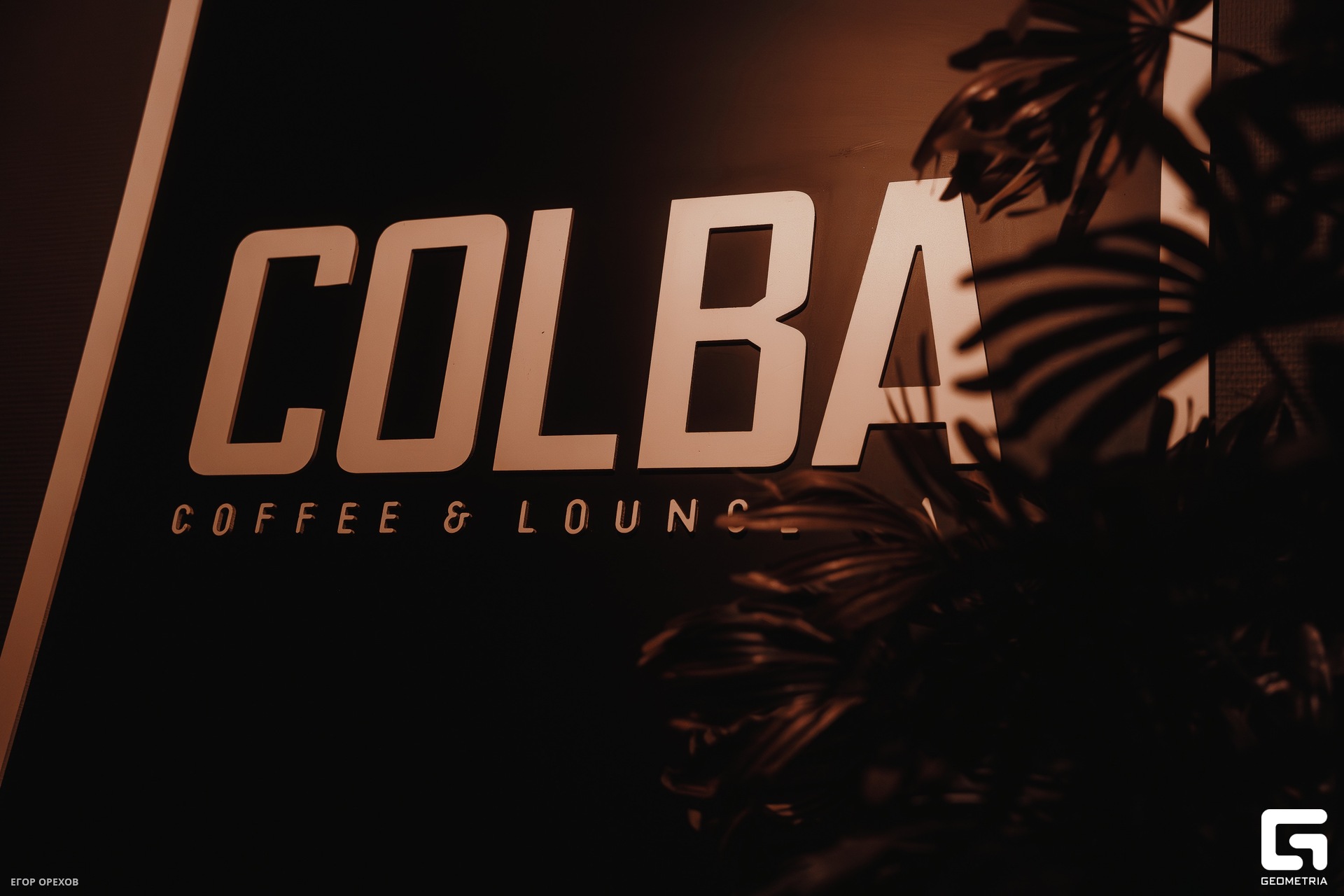 DSC06041-Улучшено-Ум. шума.jpg