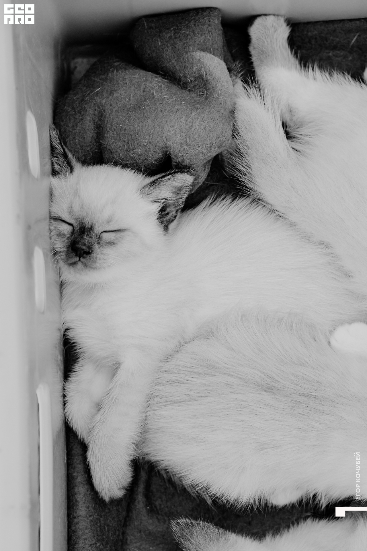 220813 Кочубей 321.jpg