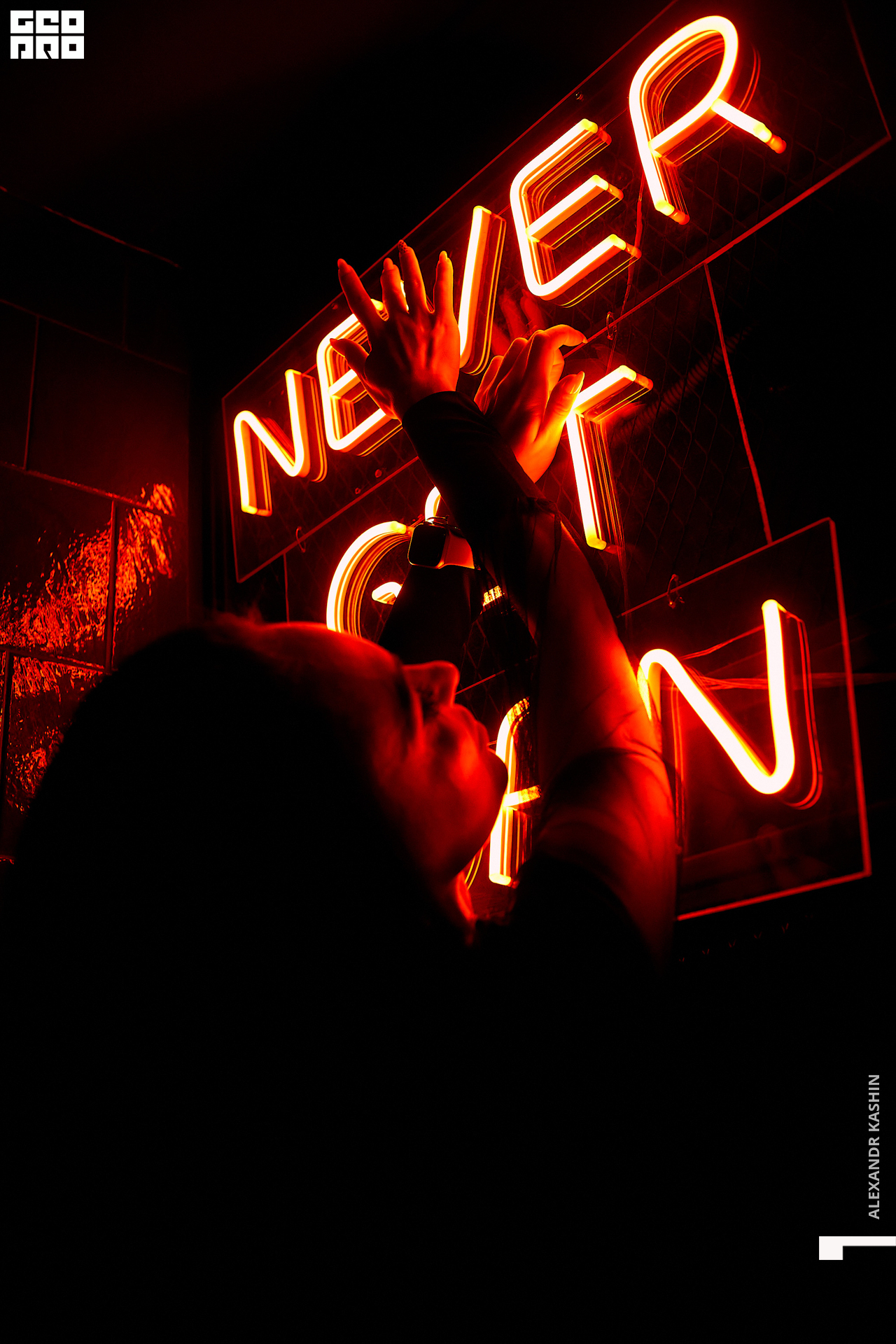 0026 22-12-17 021852 Kashin.jpg