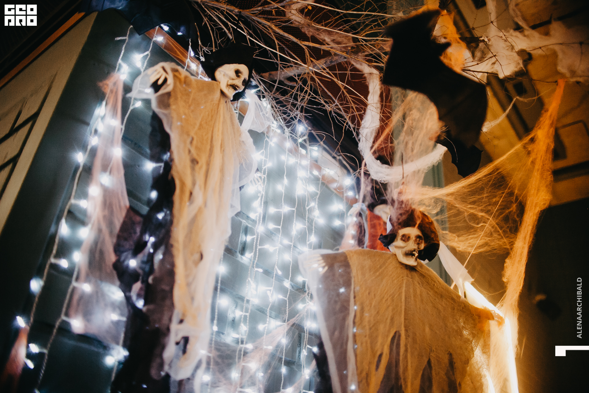 2021-10-30 21-58-47_alenaarchibald002.JPG