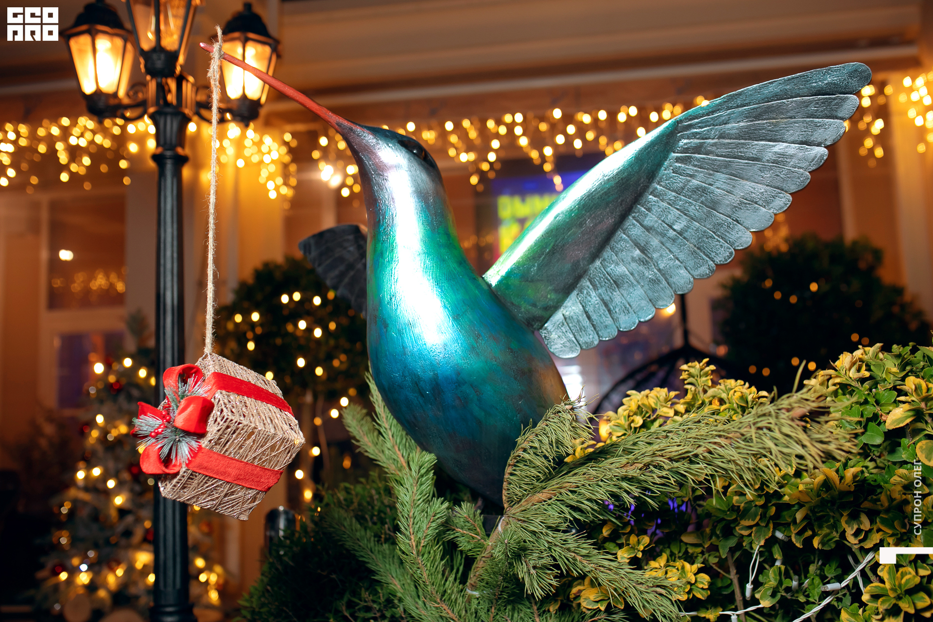 0N5A0415 копия.jpg