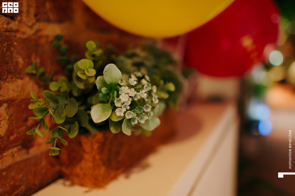 Семейный ужин в ресторане «NICE kitchen» 11