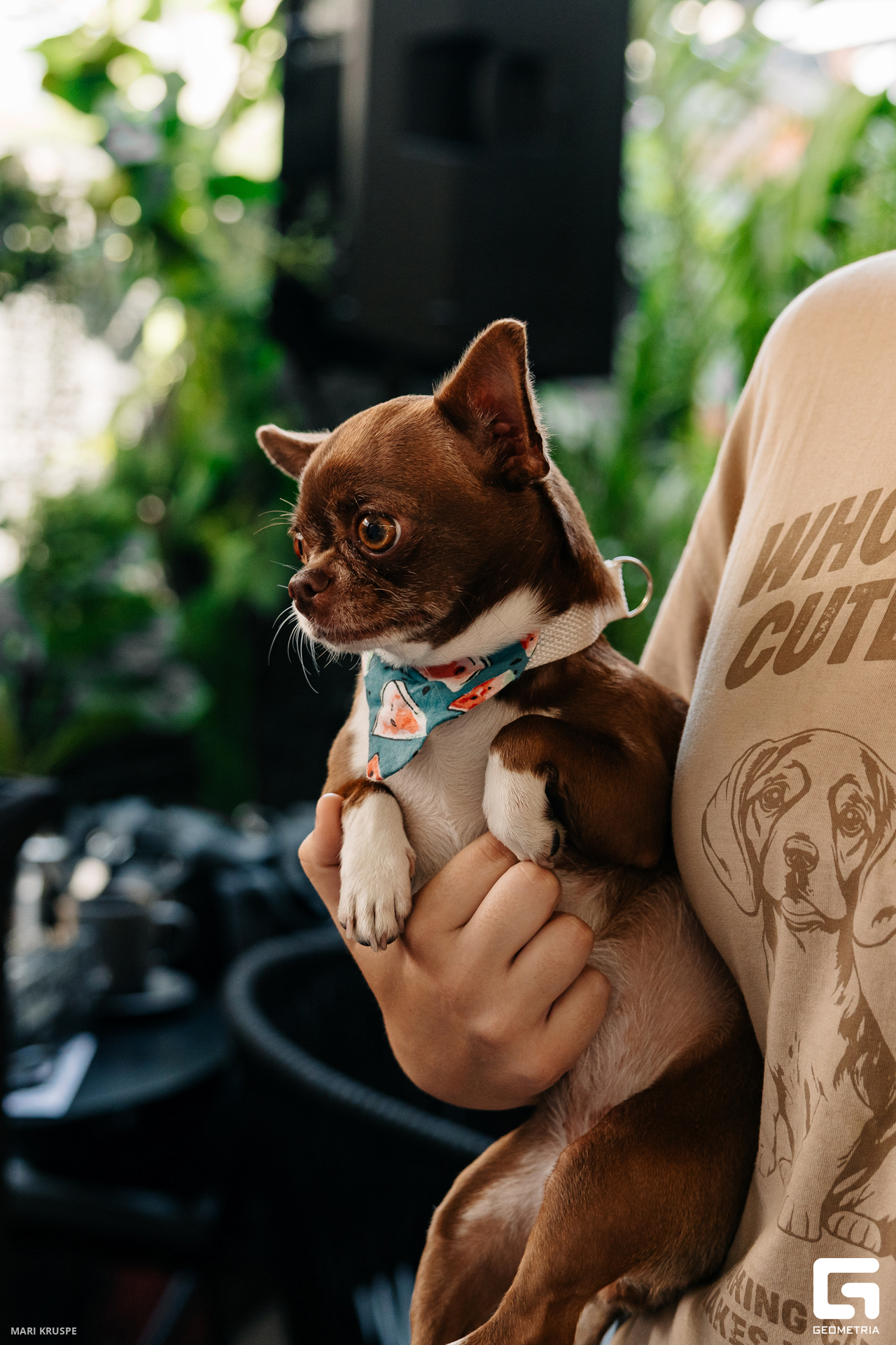 MARI7211 копия.jpg