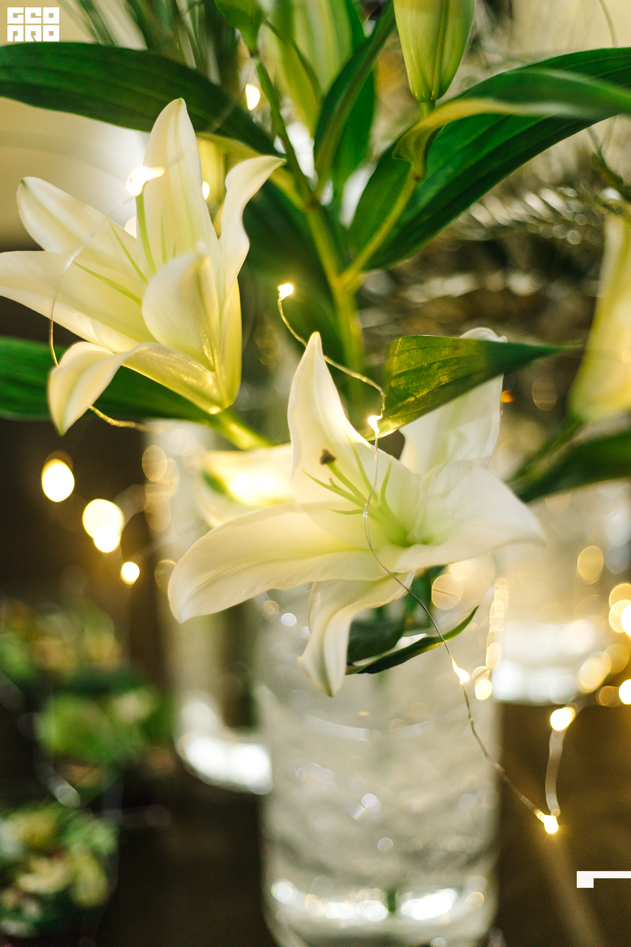 183_21-12-09 ISAEVA KASHIN SHVETS.jpg