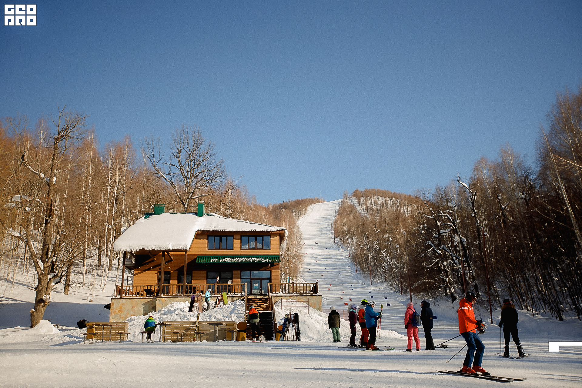 105_22-02-19 ISAEVA.jpg