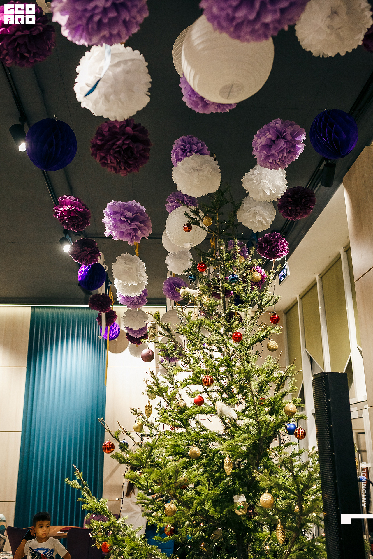 untitled shoot-6464.jpg