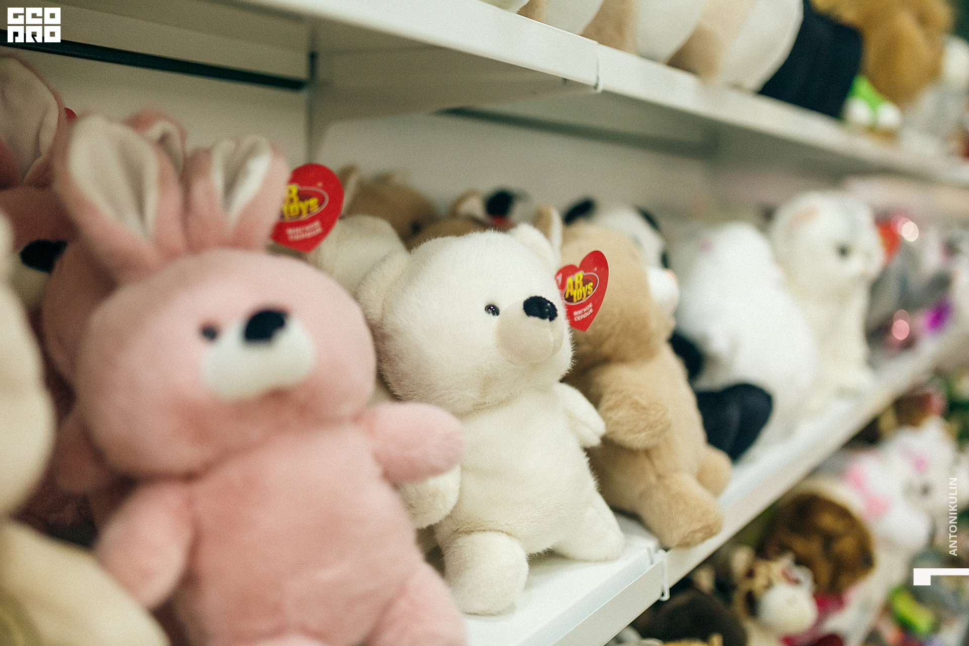 untitled shoot-6508.jpg