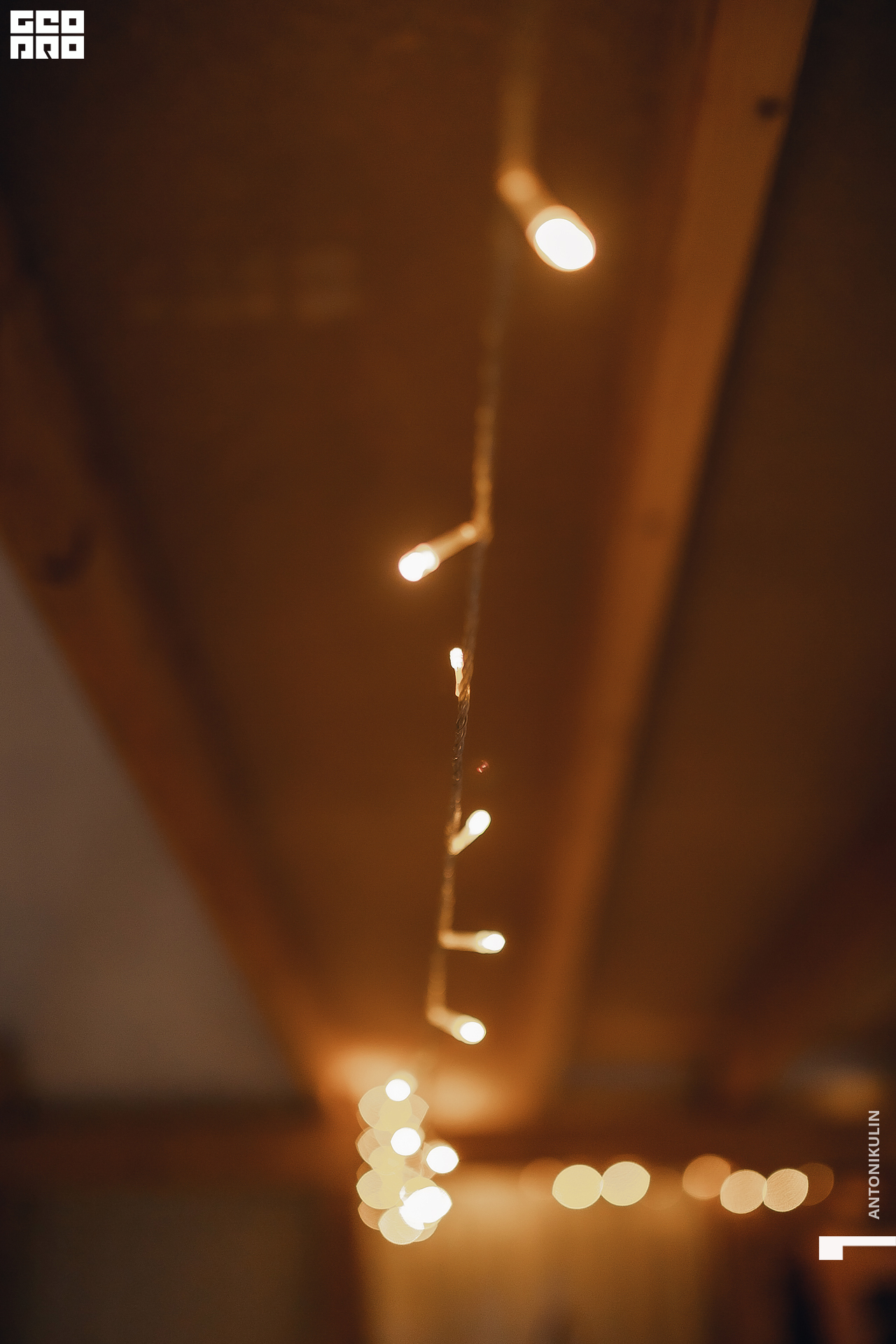 untitled shoot-9501.jpg