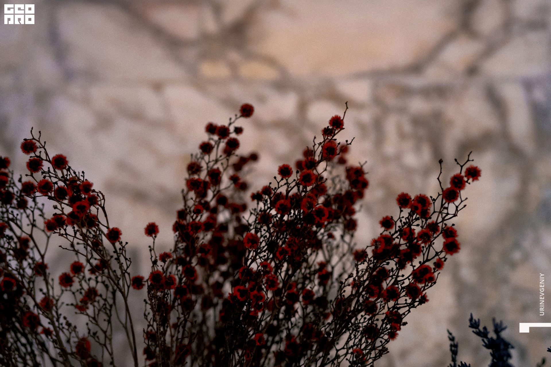 17.12.2020. Хлеб Да Винчик (115).jpg