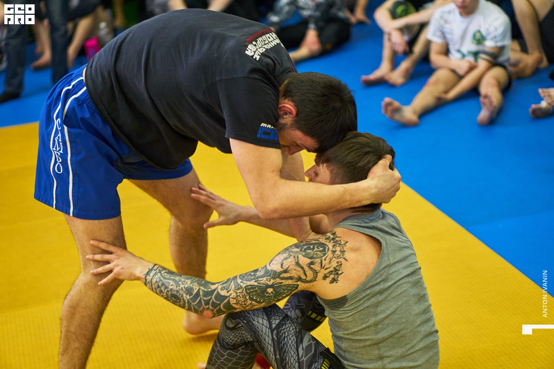 DSC09440 (Копировать).jpg