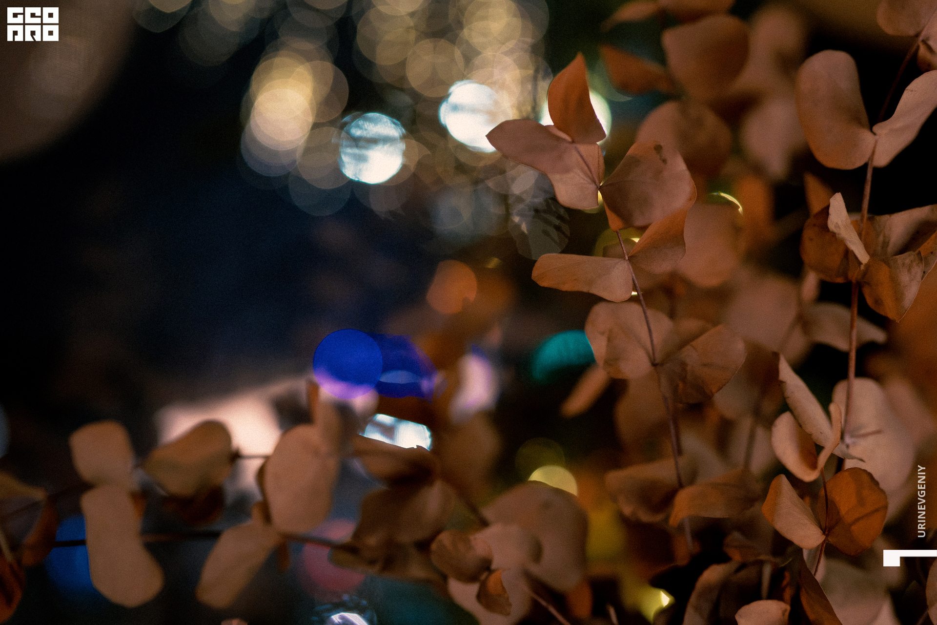 17.12.2020. Хлеб Да Винчик (107).jpg