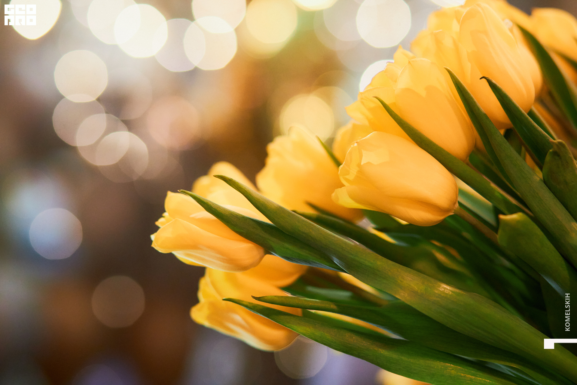 085-08_03_2022-18-55-21 - Komelskih.jpg