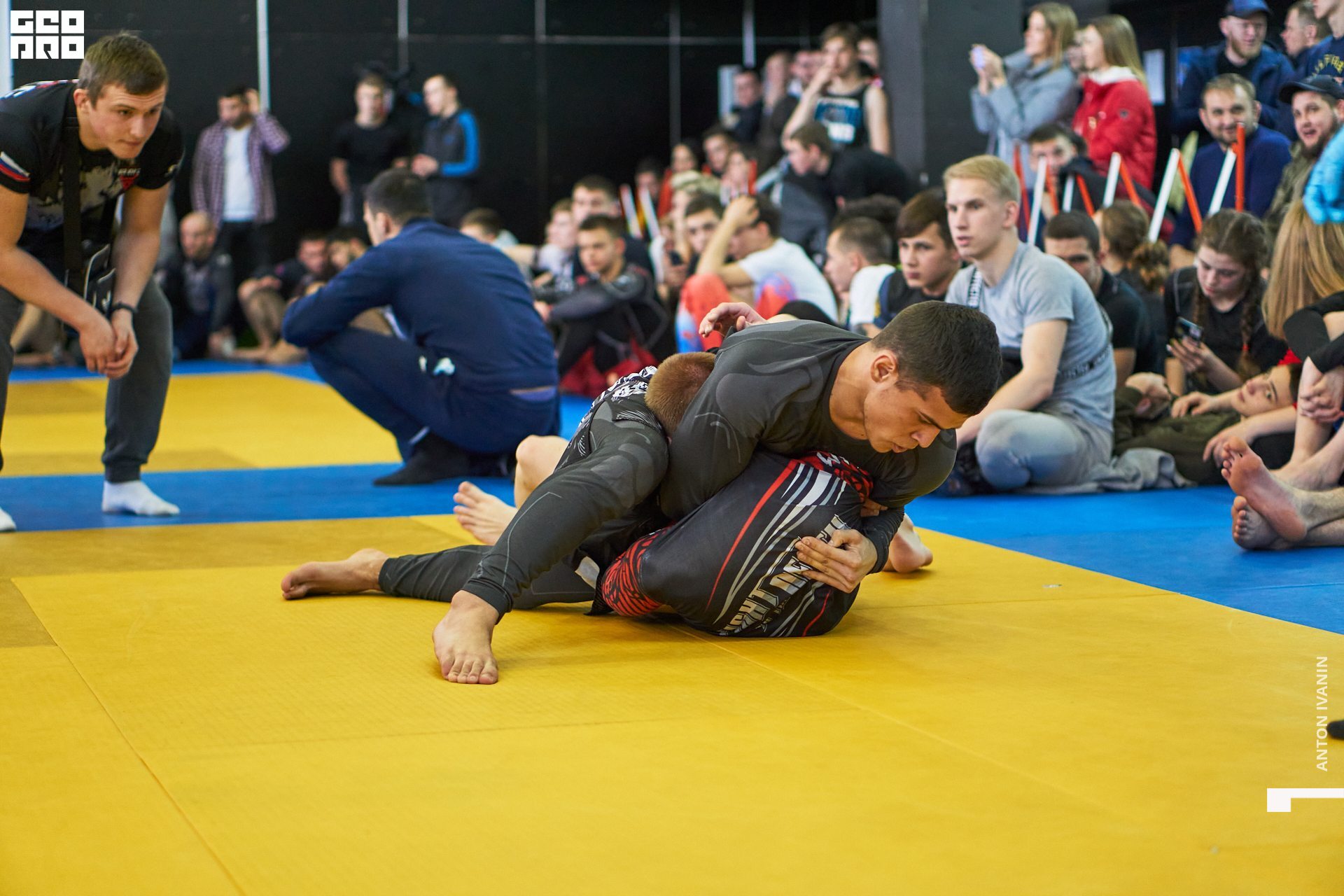 DSC08726 (Копировать).jpg