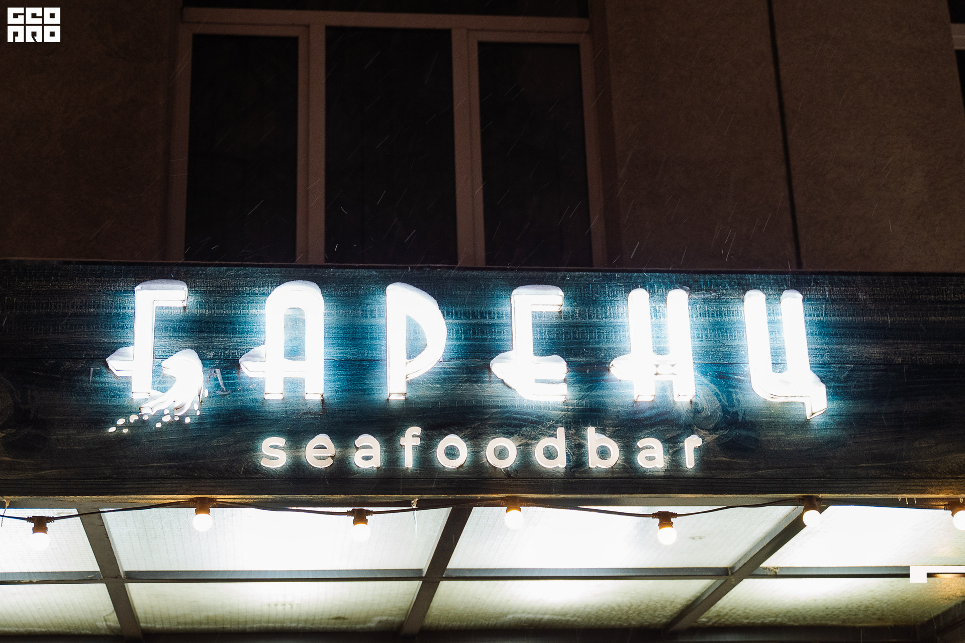 20221125 0001 _AV23742.jpg