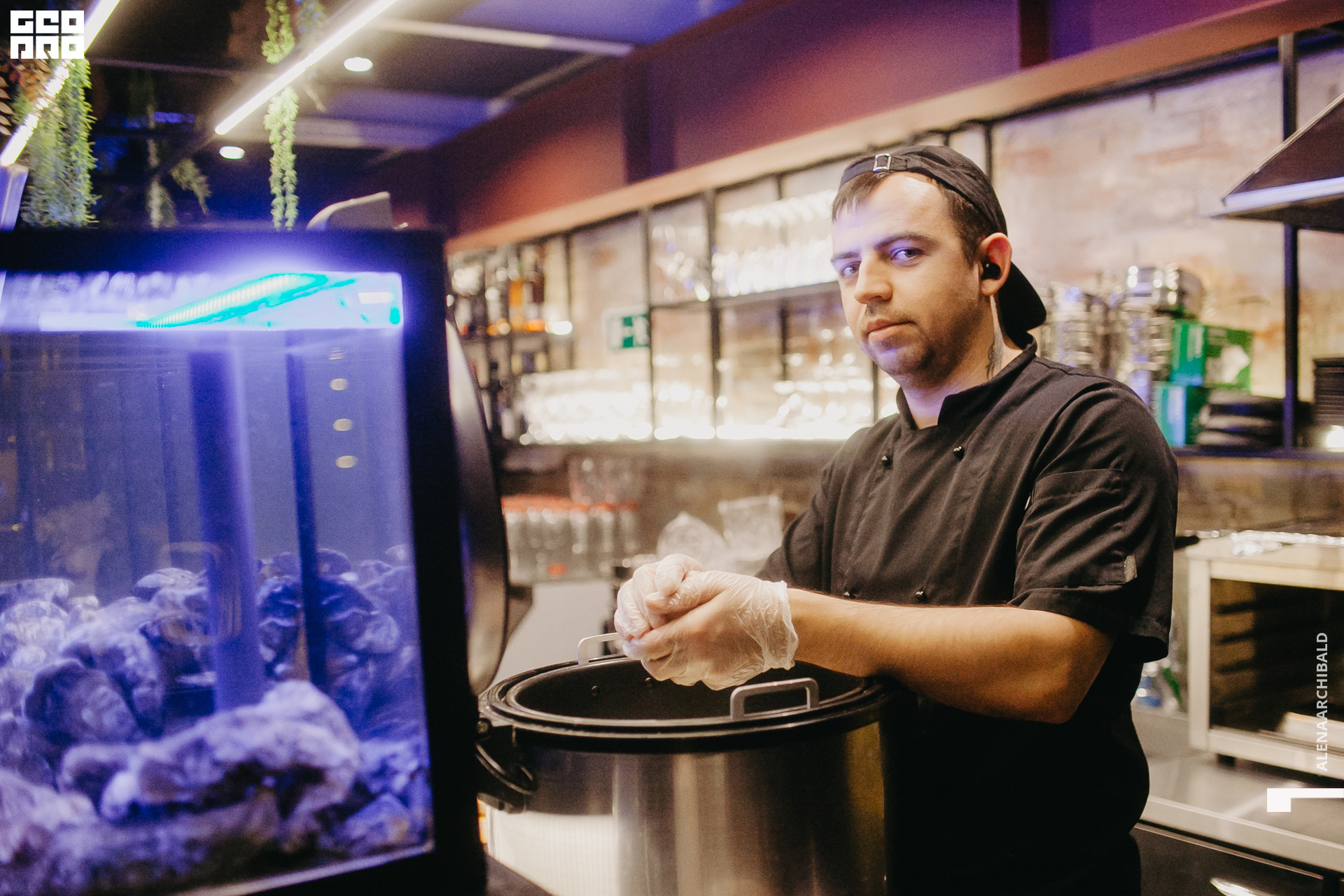 2022-11-18 20-00-27_alenaarchibald026.JPG