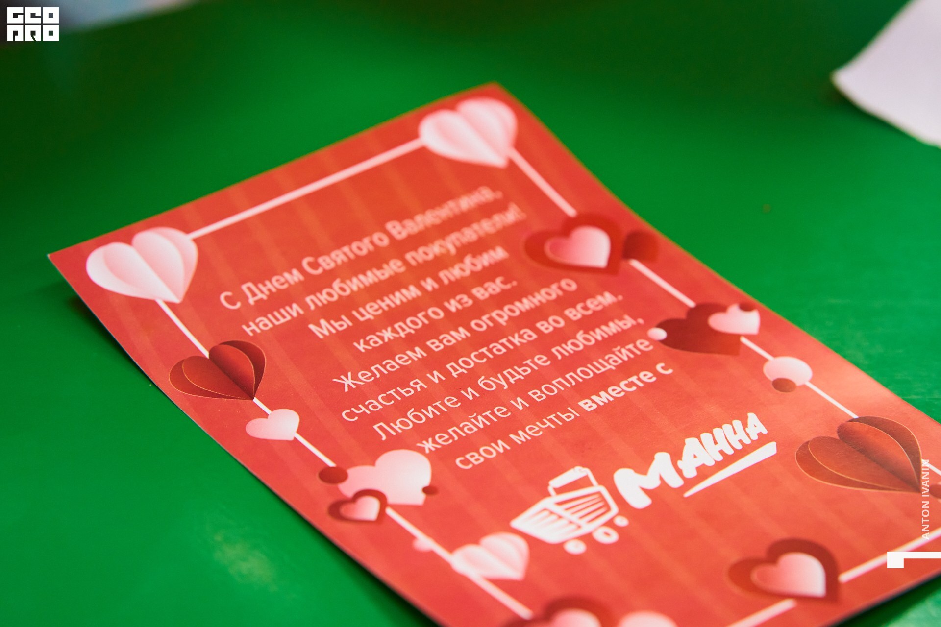 DSC09256 (Копировать).jpg