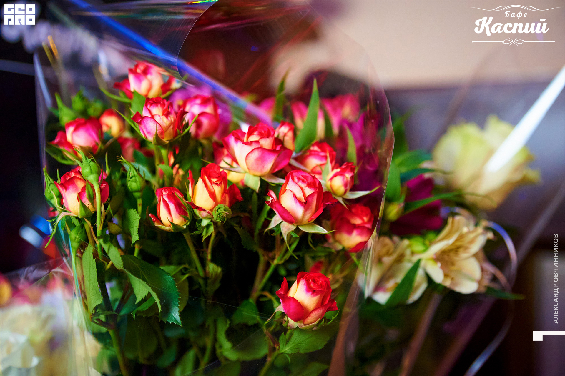 Фото 036 копия.jpg