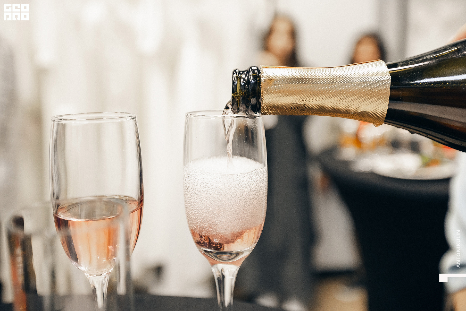 untitled shoot-8546.jpg