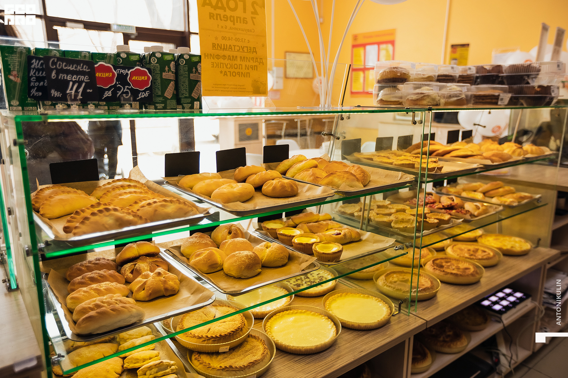 untitled shoot-5476.jpg