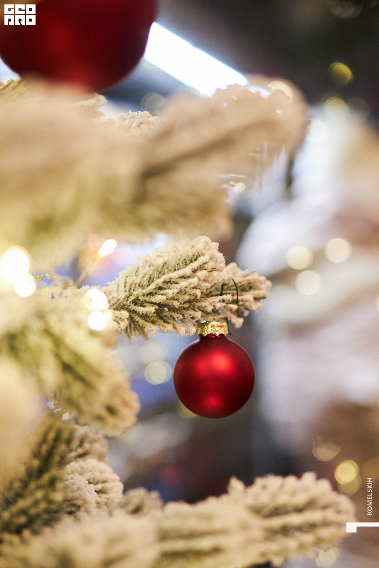 064-2022_12_02-19-42-57 - Komelskih.jpg