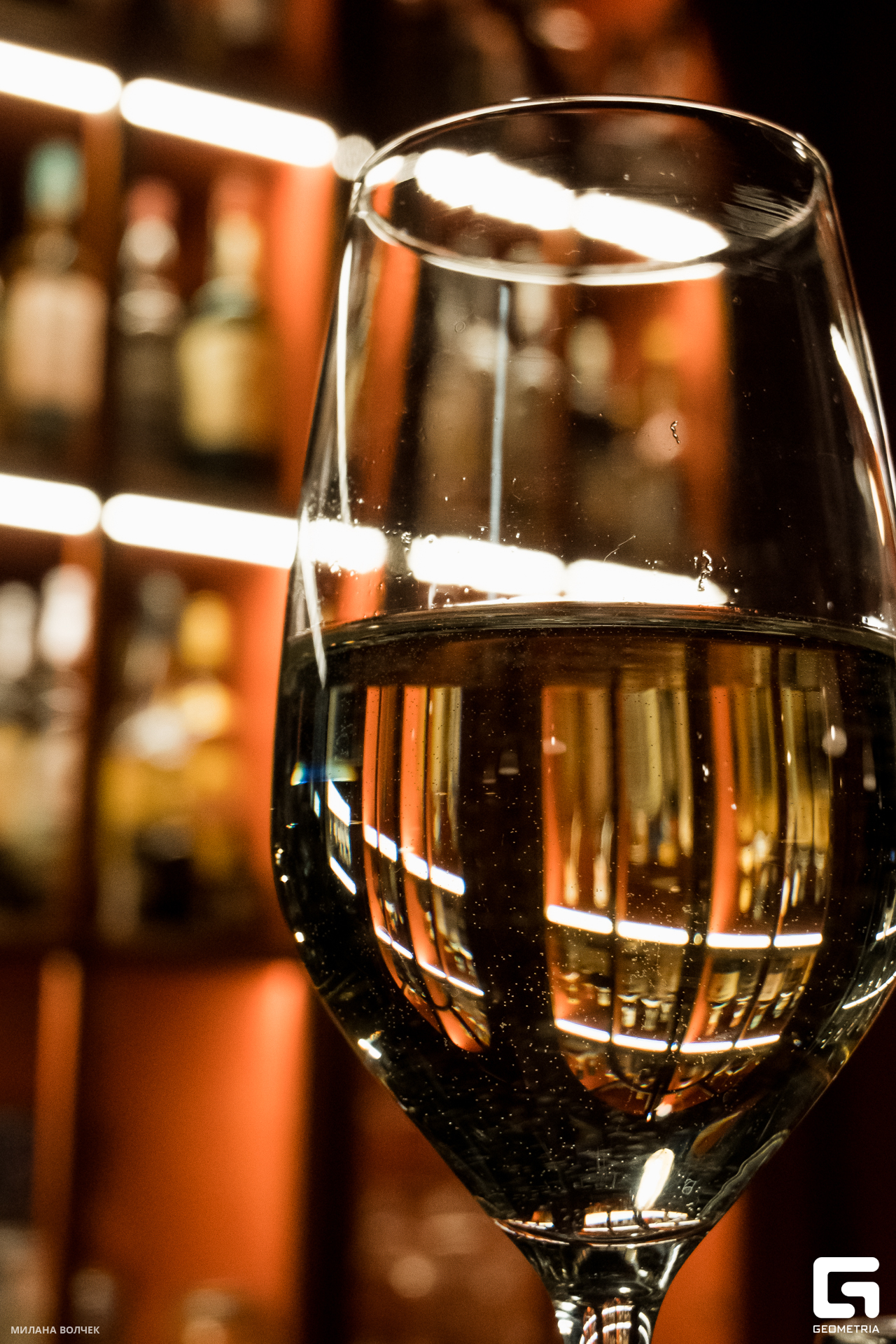 009_20231124 Волчек.jpg