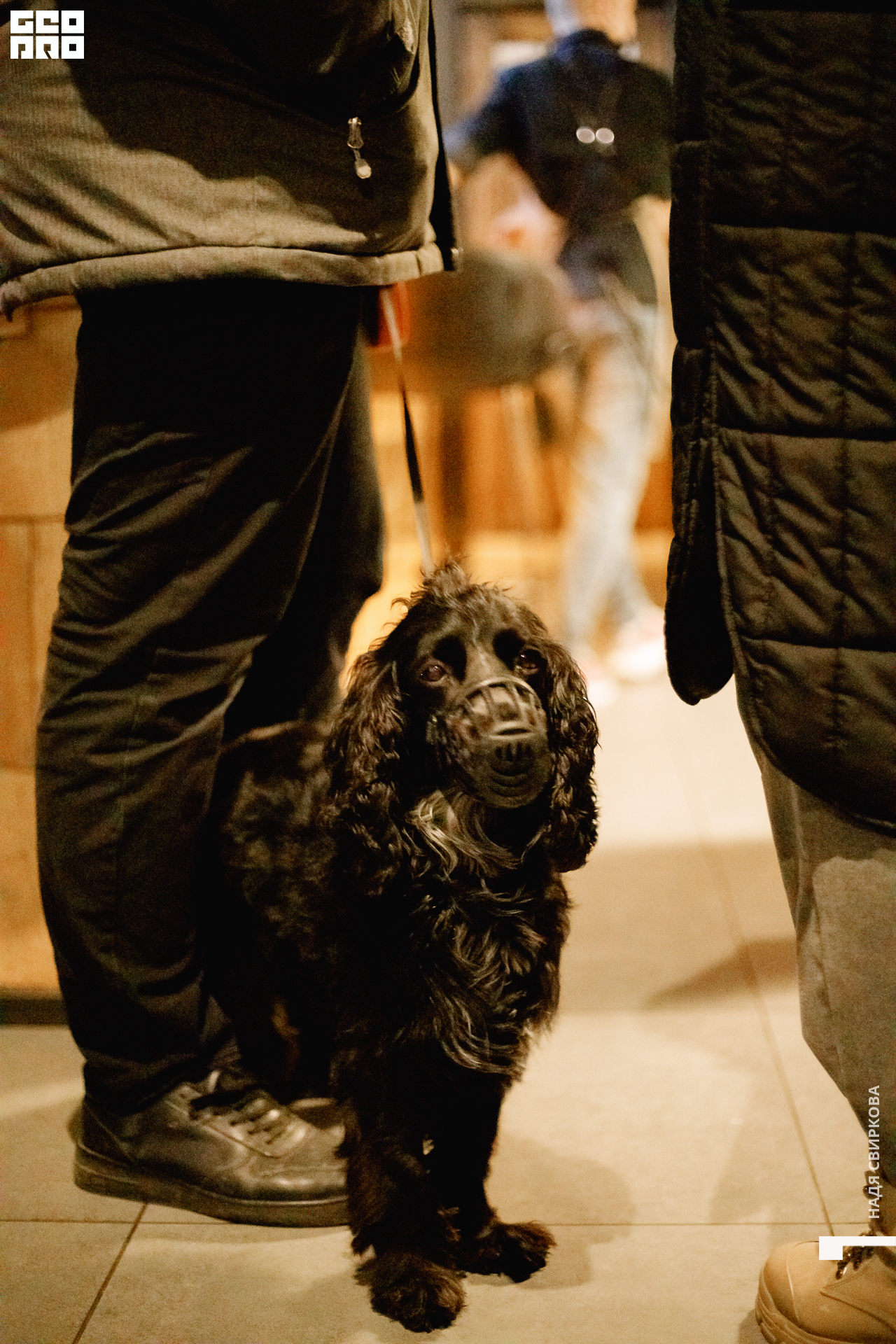 031_22-02-25 ISAEVA.jpg