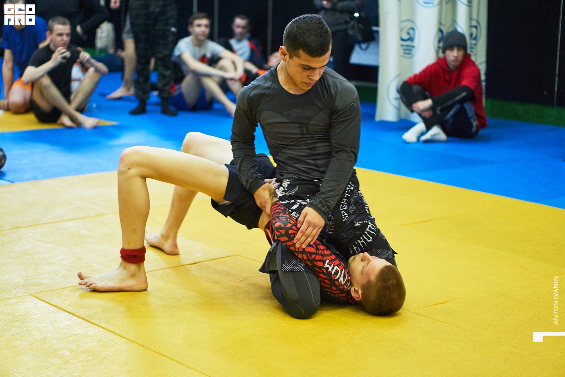 DSC08715 (Копировать).jpg