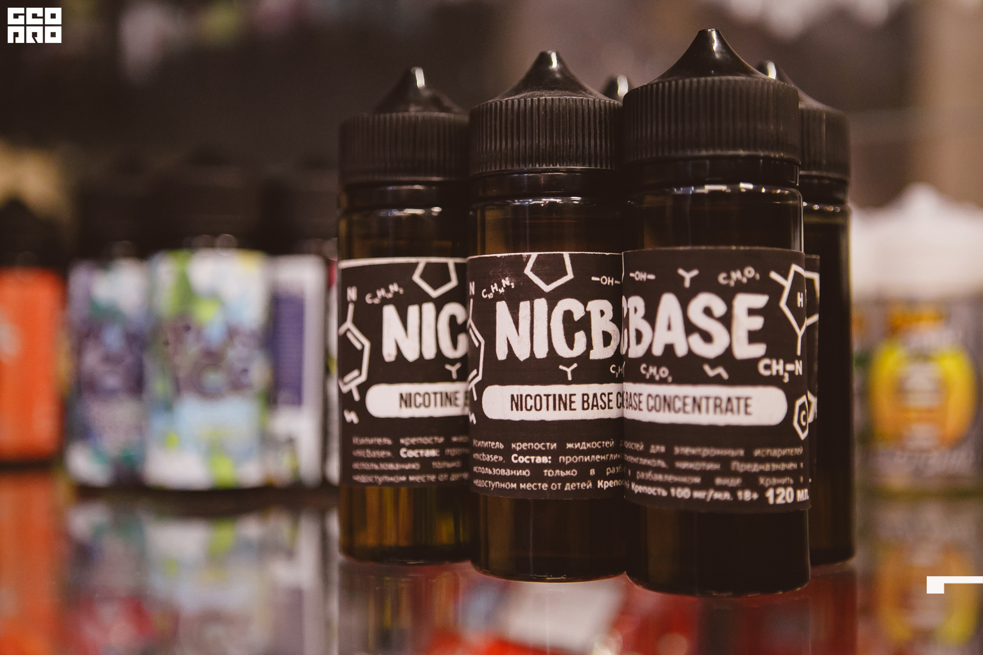 113 211010  204559 _ale_romanova.jpg