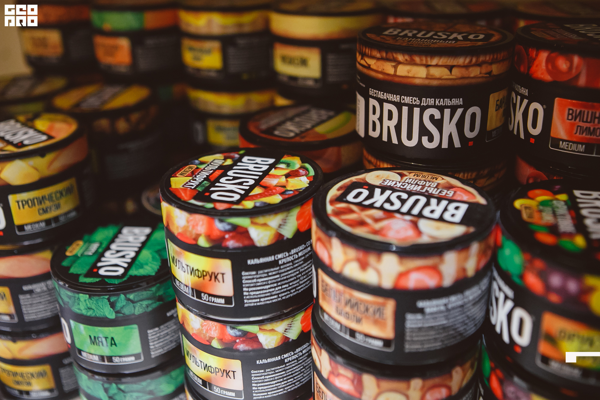 140 211010  204400 _ale_romanova.jpg