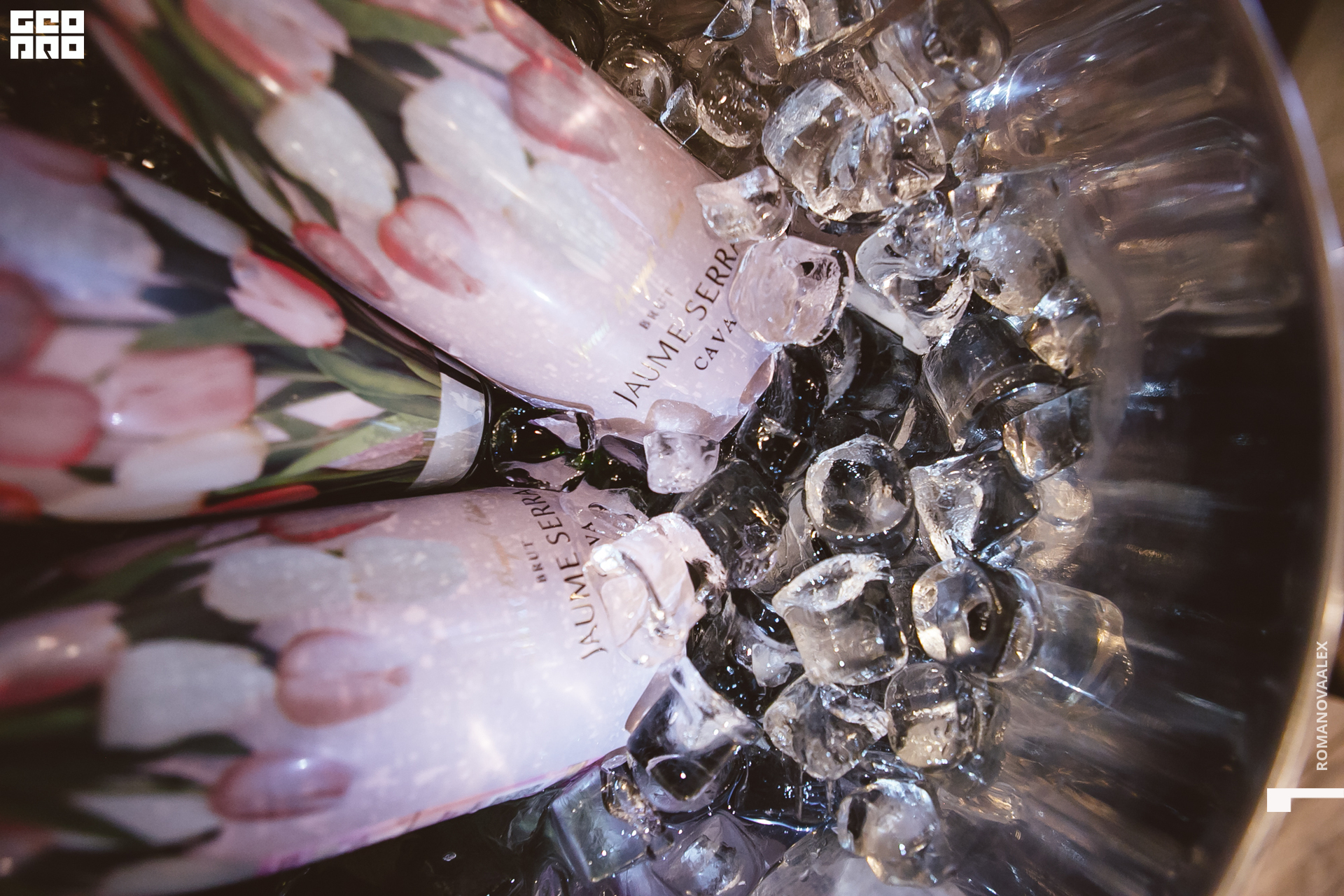 009 210615  202437 _romanovaalex.jpg