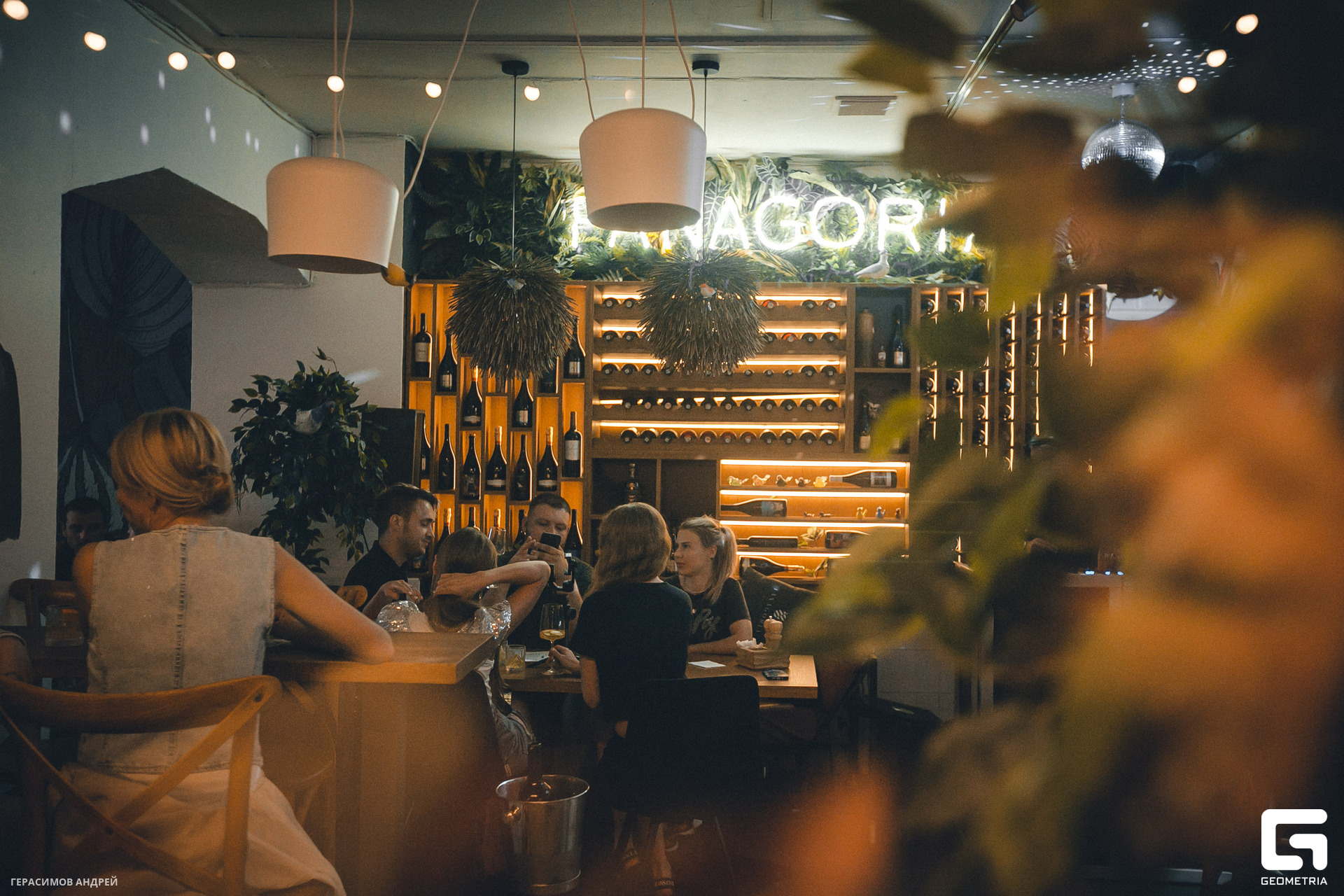 030 Свиристели 24.06.jpg